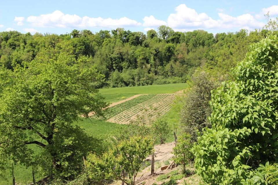 Agriturismo Stazione di Monta