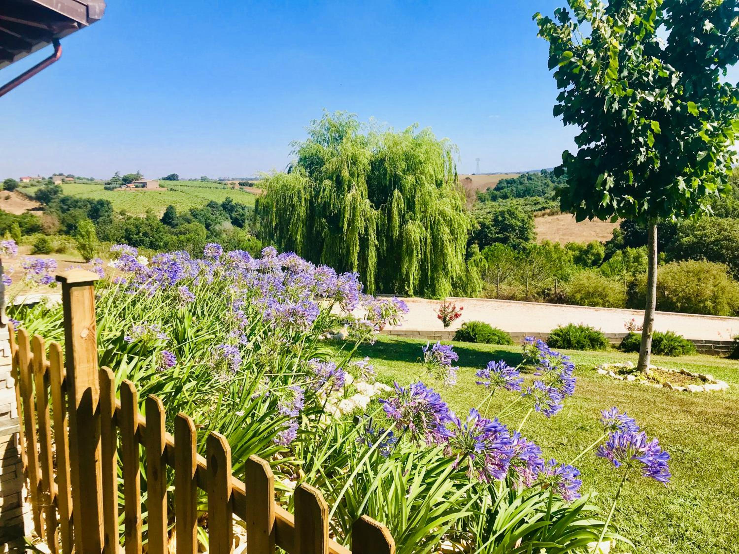 La collina delle fonti