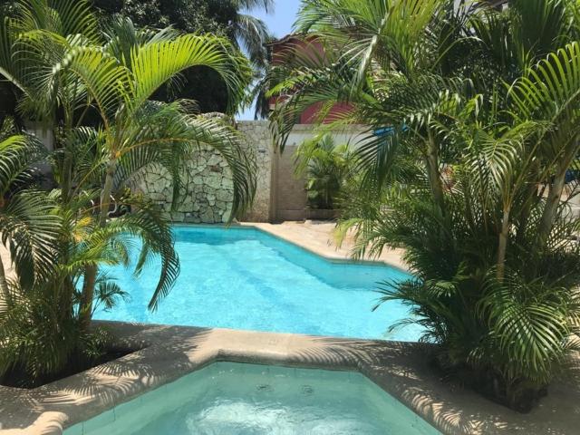 Apartment Bello Horizonte
