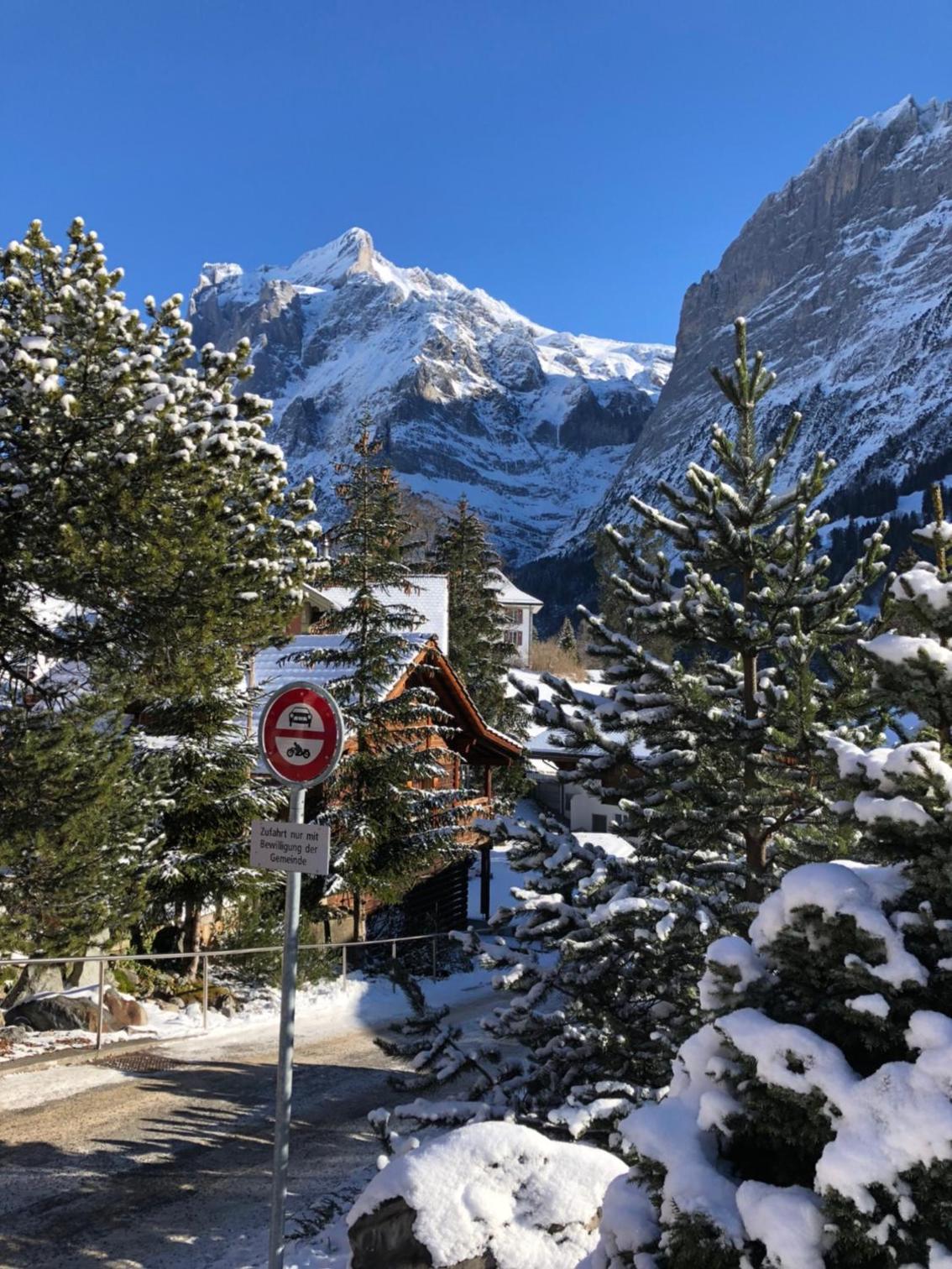 Chalet CARVE - Apartments EIGER, MOENCH and JUNGFRAU
