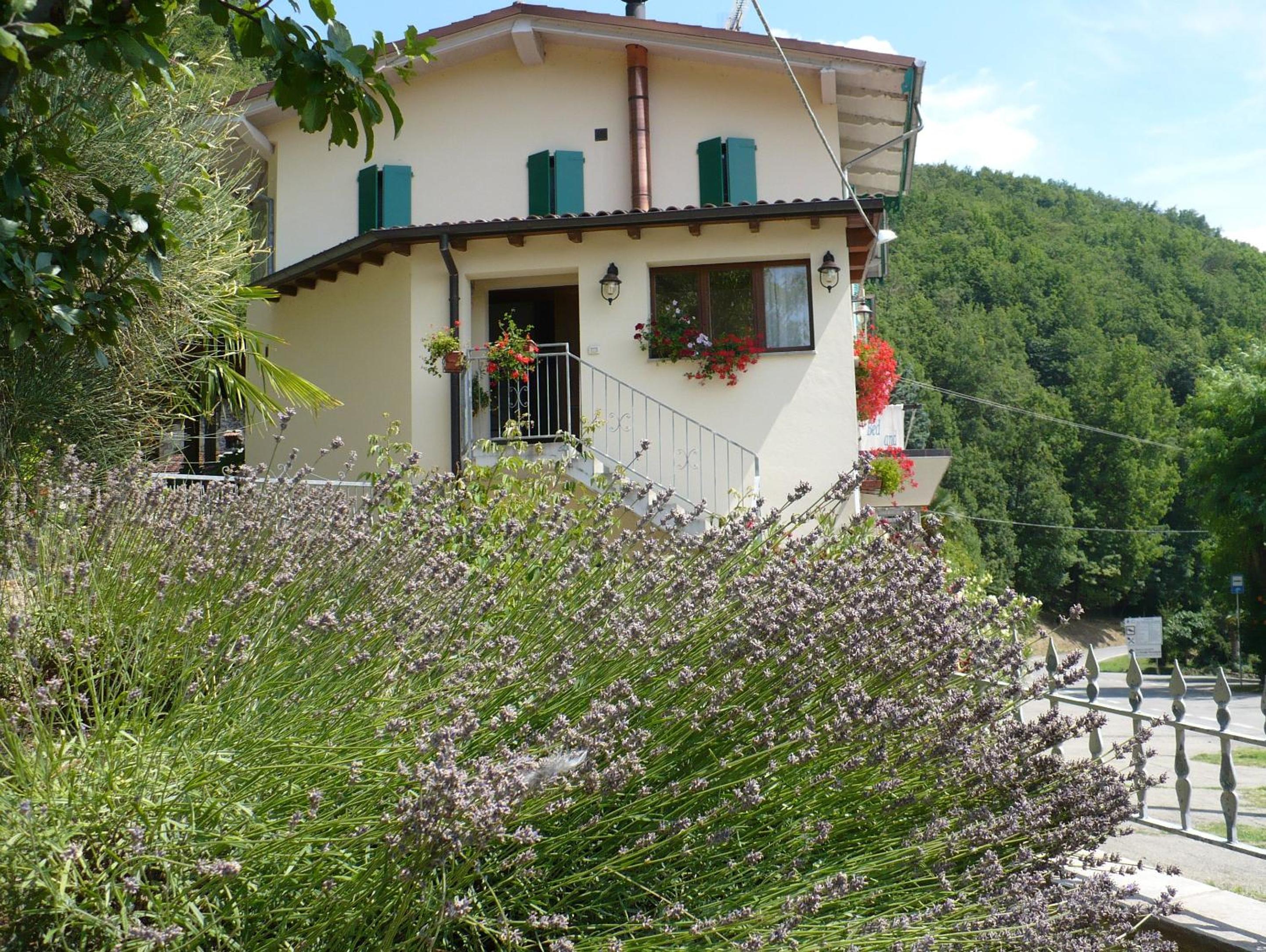 Solo Per Quattro view 5