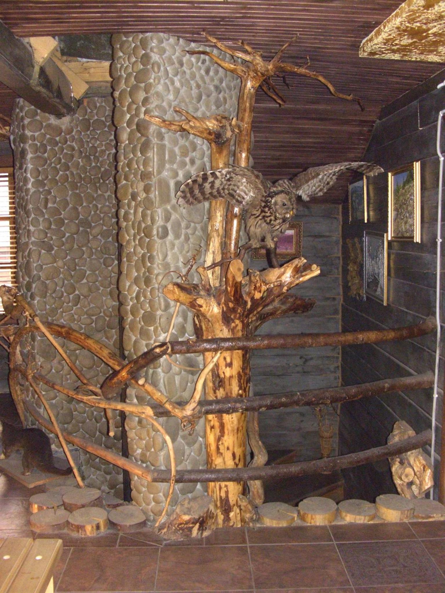 Photo 35