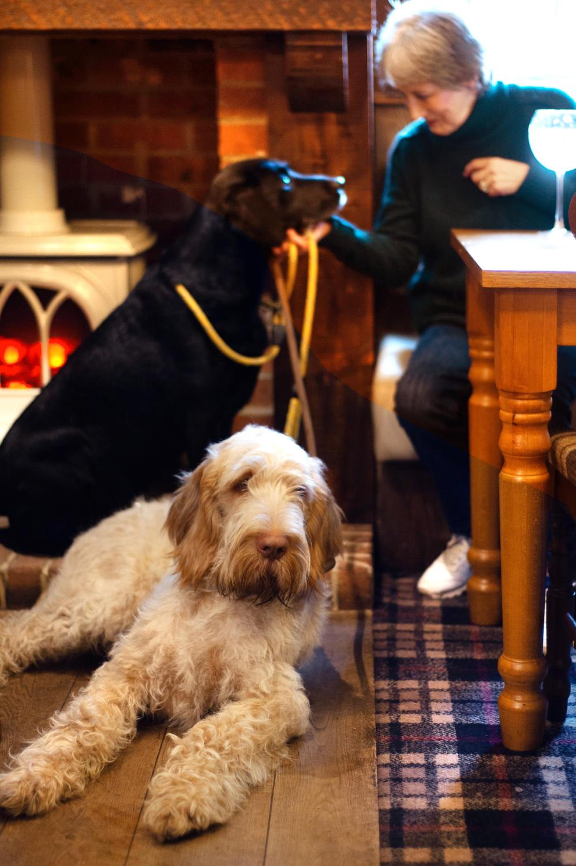 The Kingslodge Inn - The Inn Collection Group