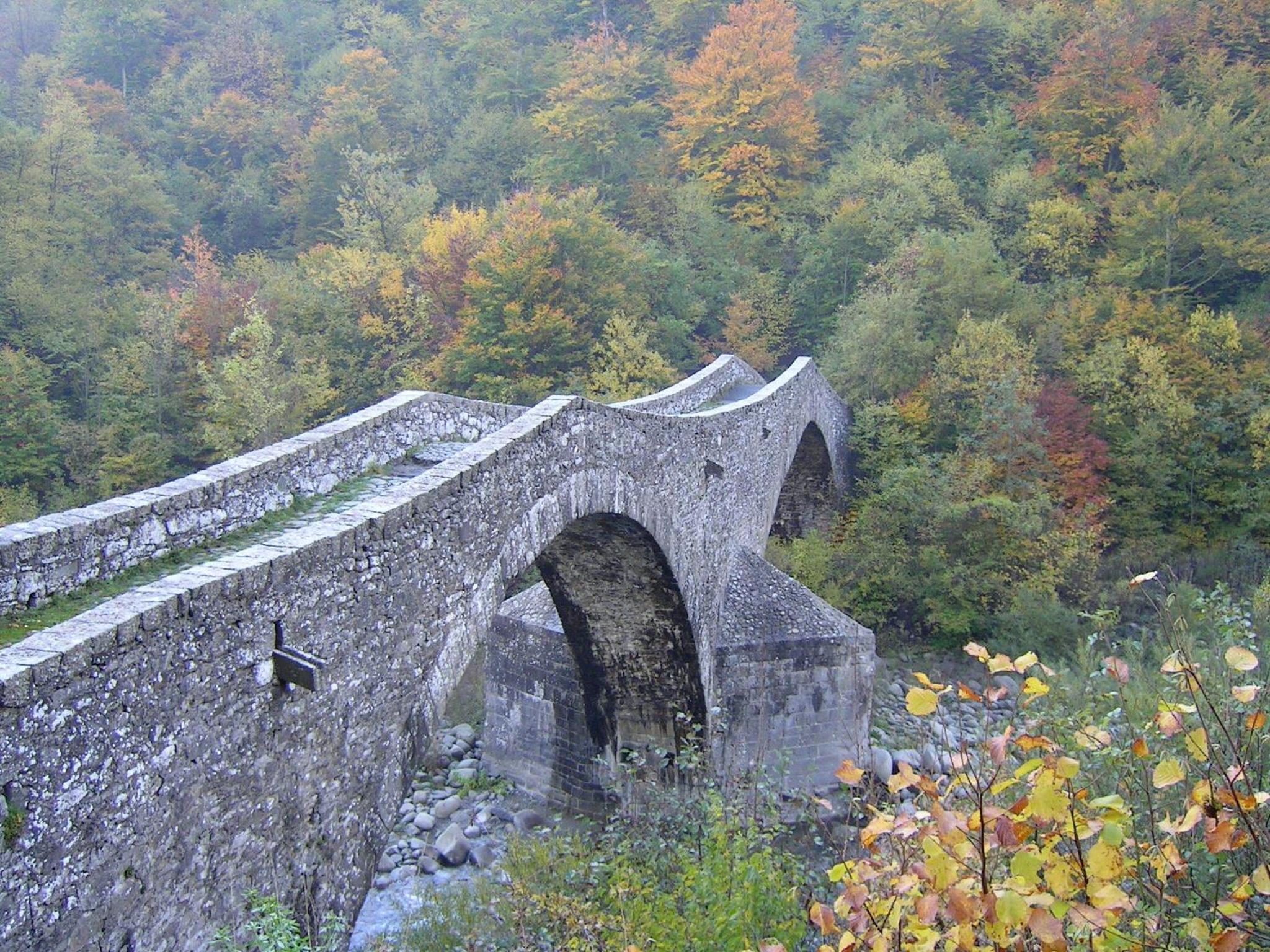 Photo 48