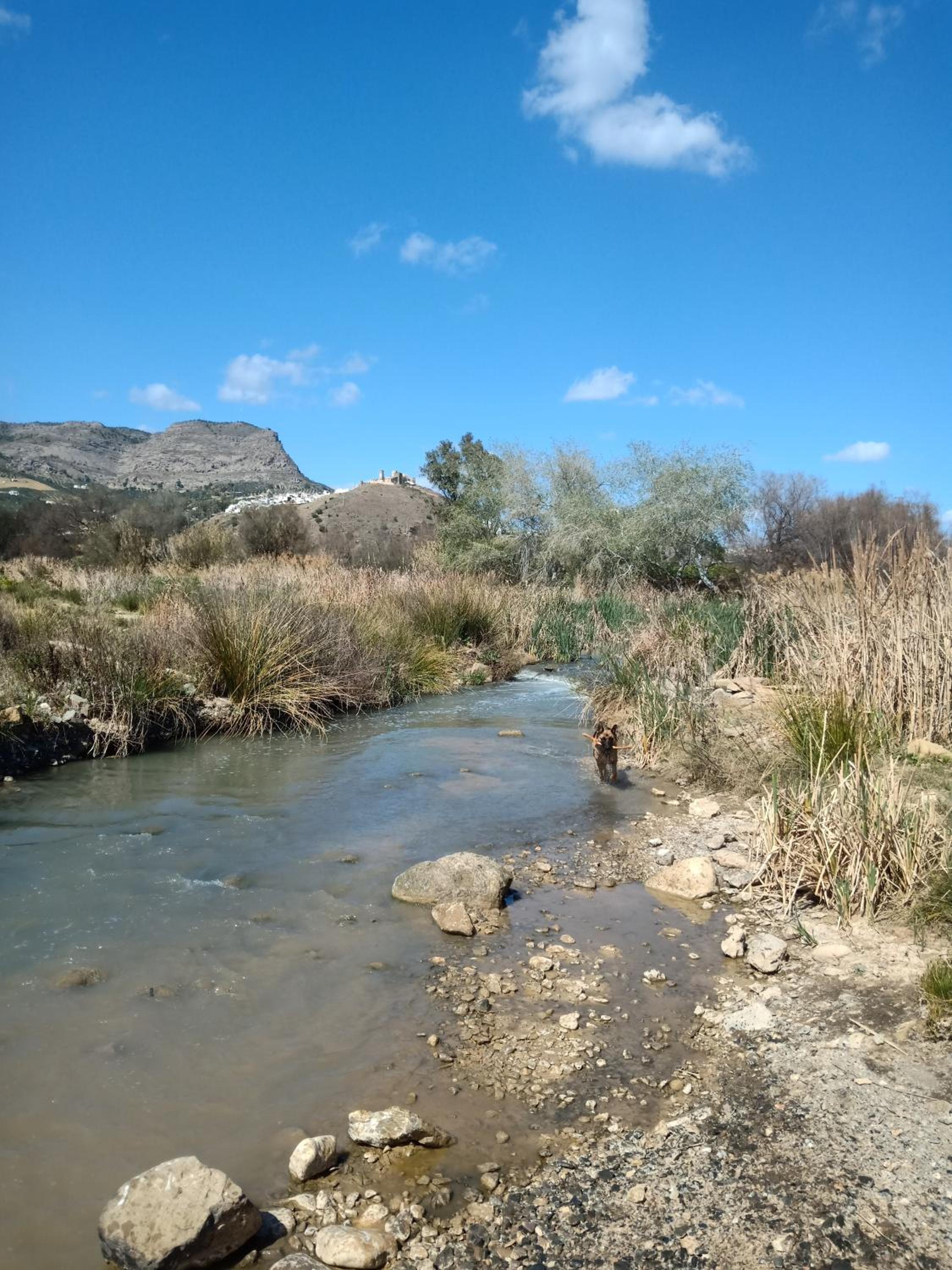 Photo 42