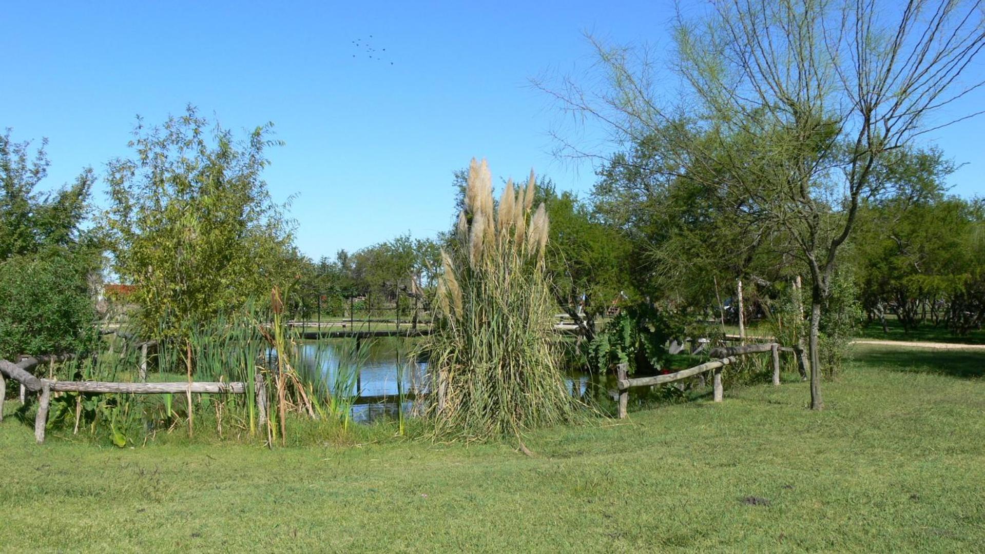 Cabañas Los Girasoles