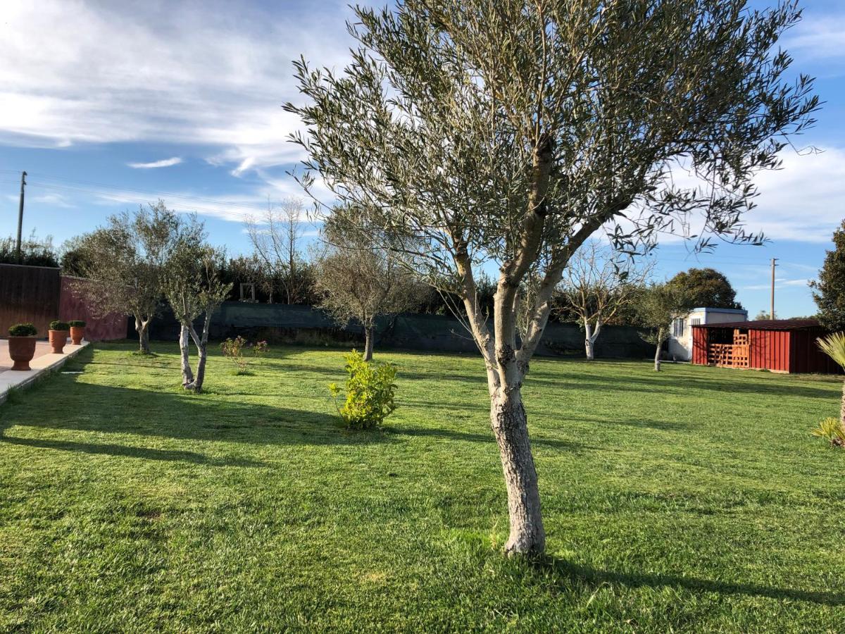 Villa Alessio photo 3