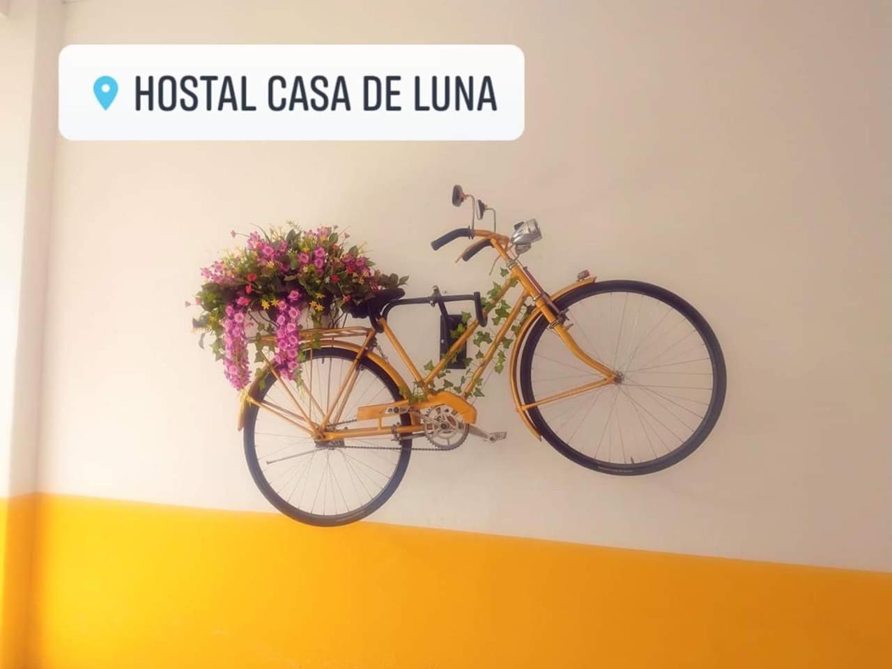 Casa de Luna