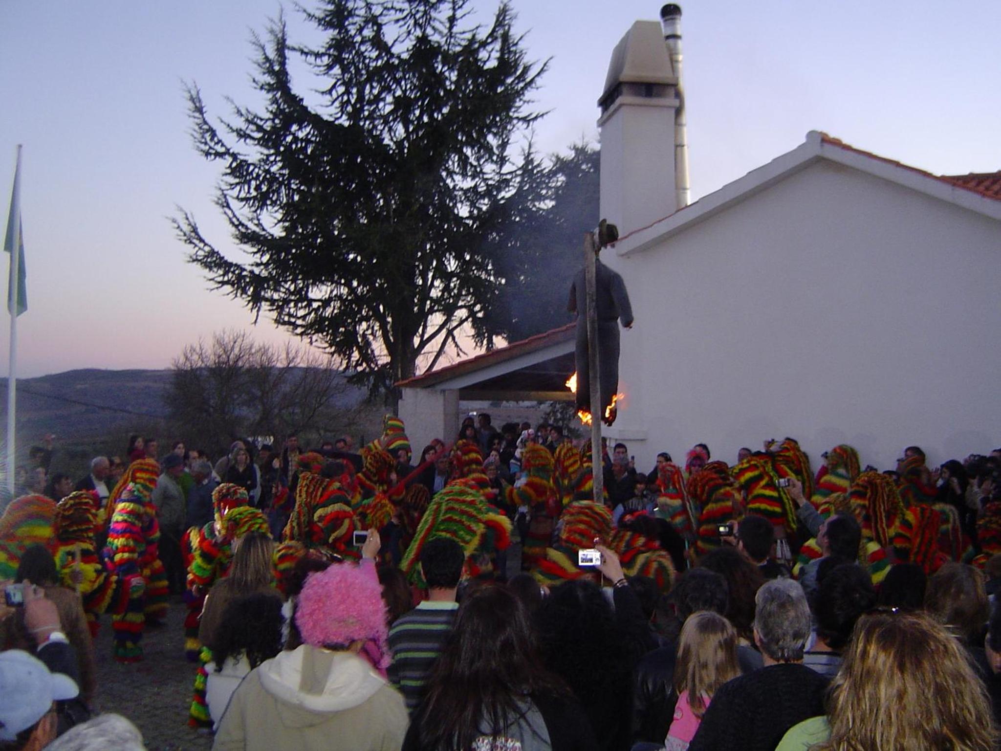 Photo 41