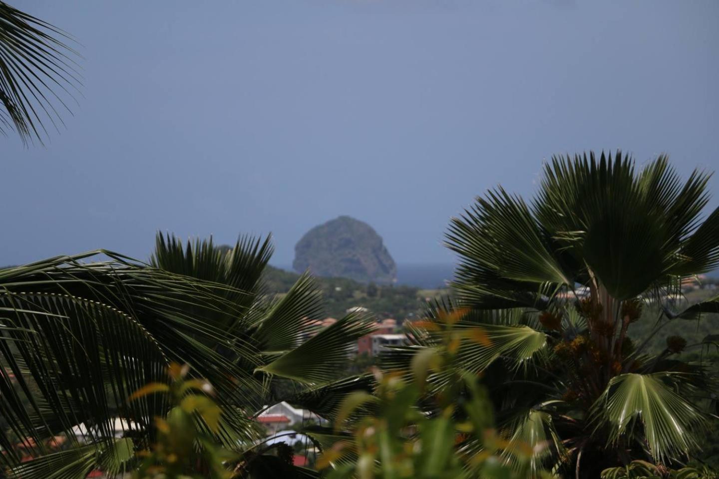 CAZA TURQUOIZ view 4