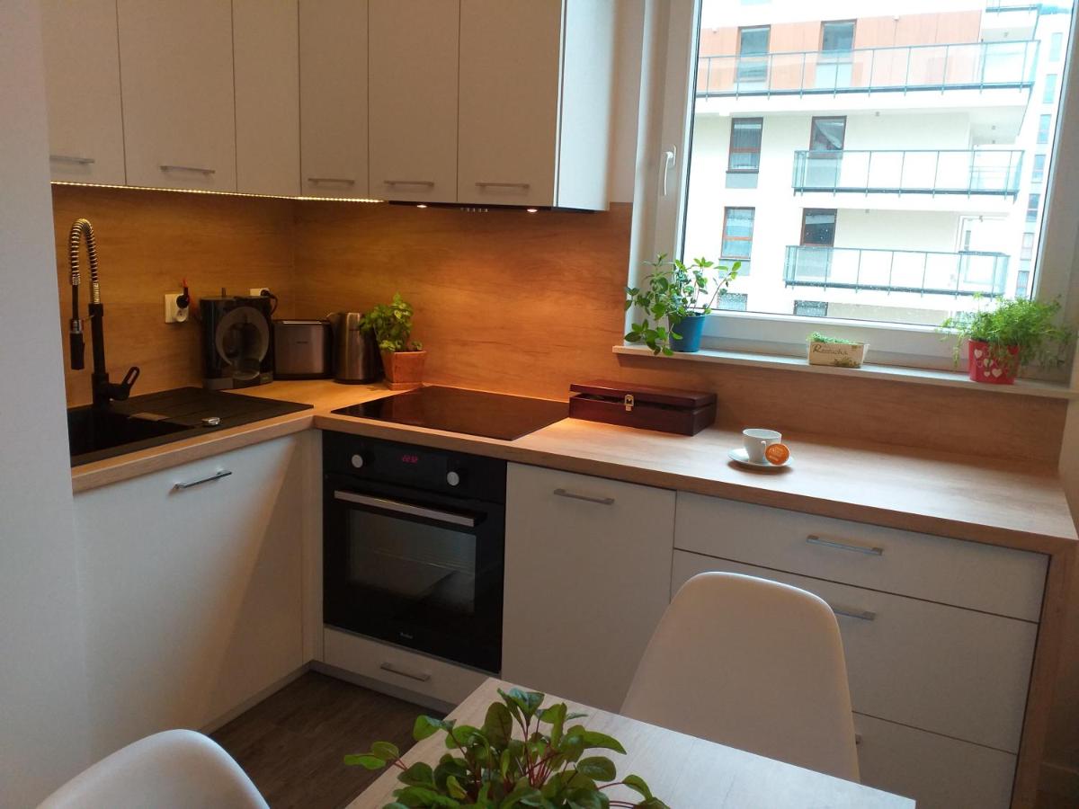 AM Apartament view 4