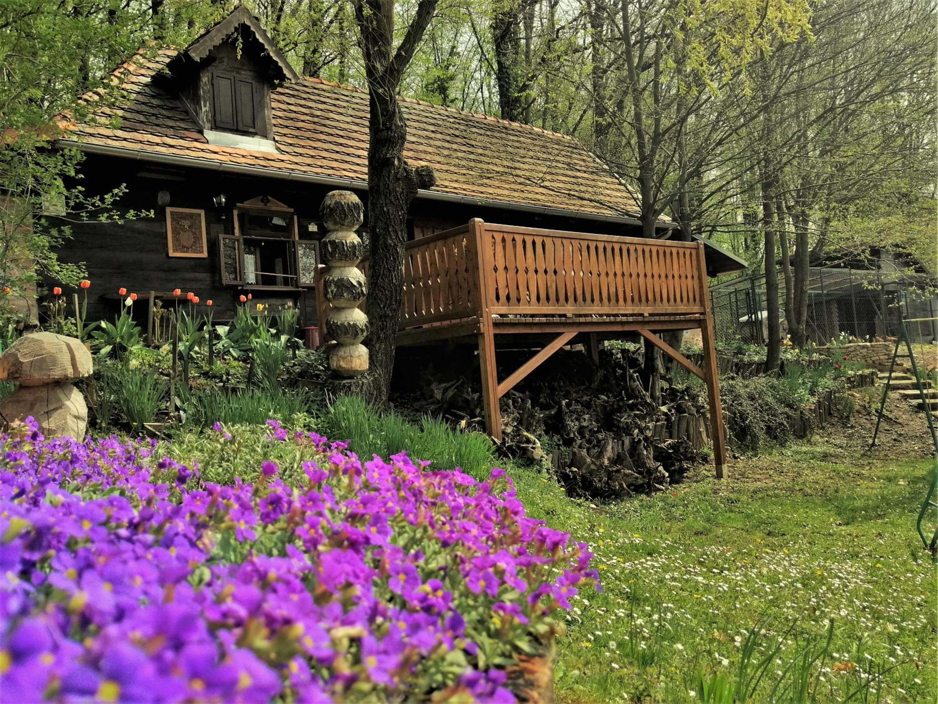 Country house with a pool in Medvednica Nature Park