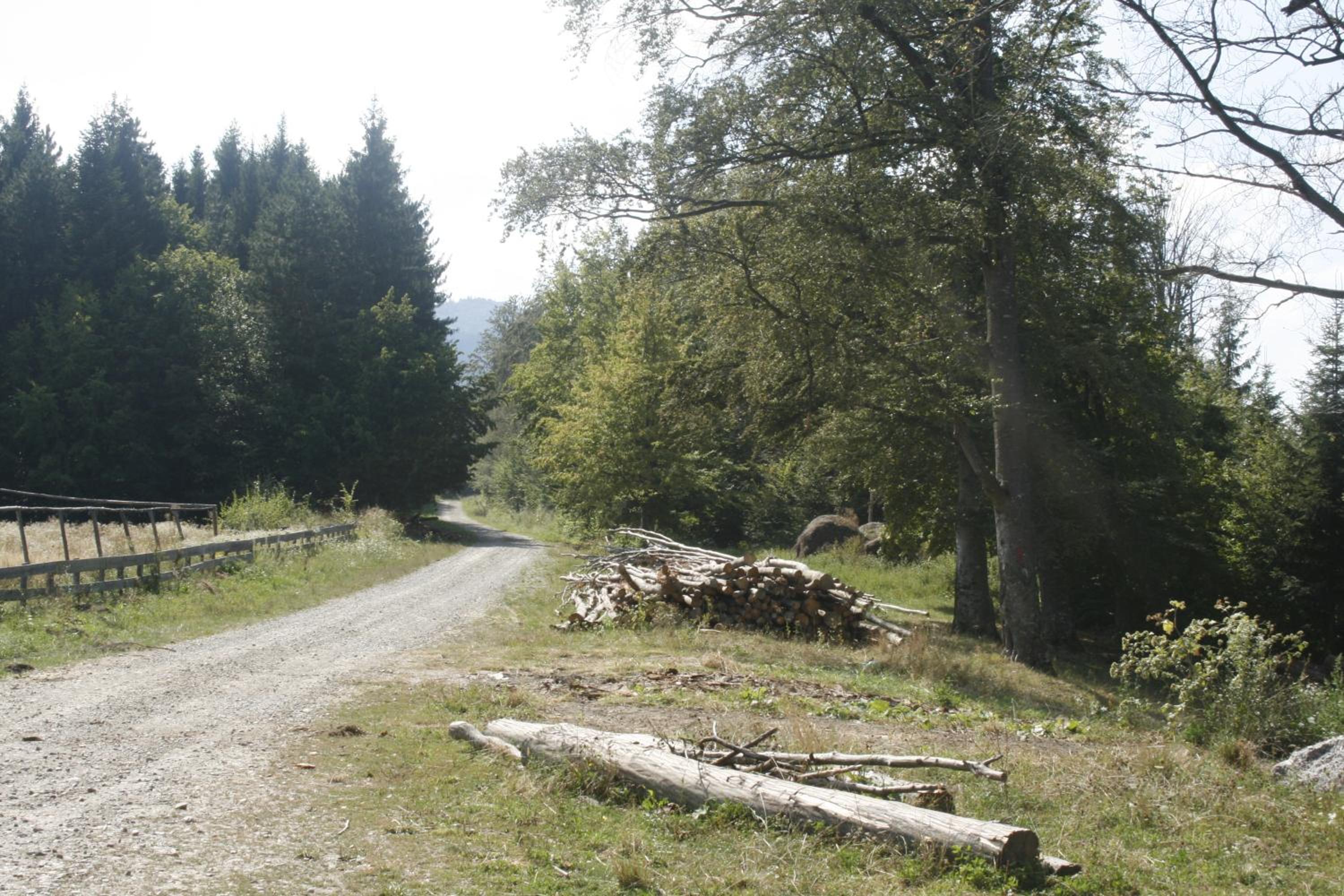 Pensiunea La Poarta Bucovinei