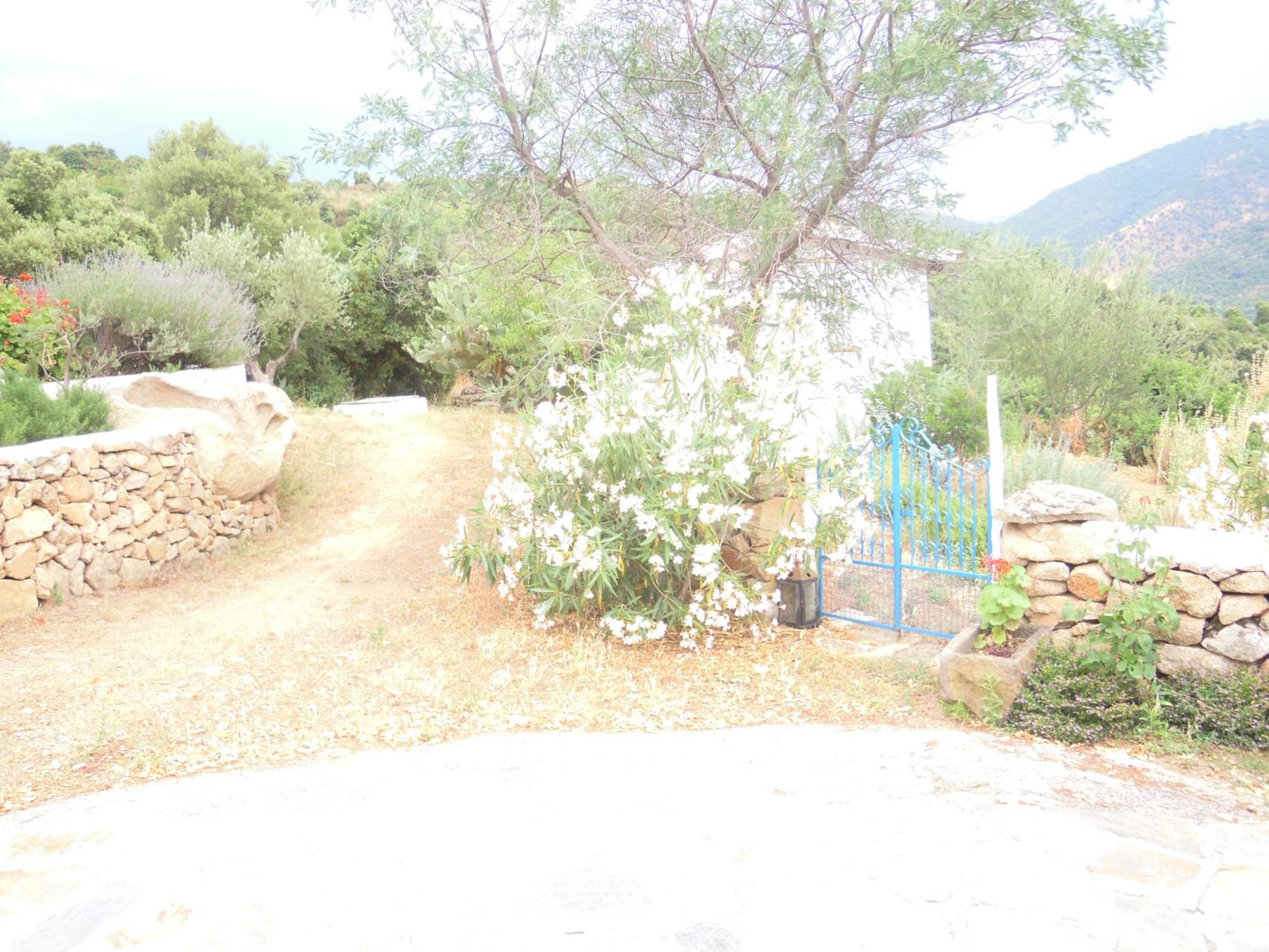 Agriturismo Camisadu, photo 17