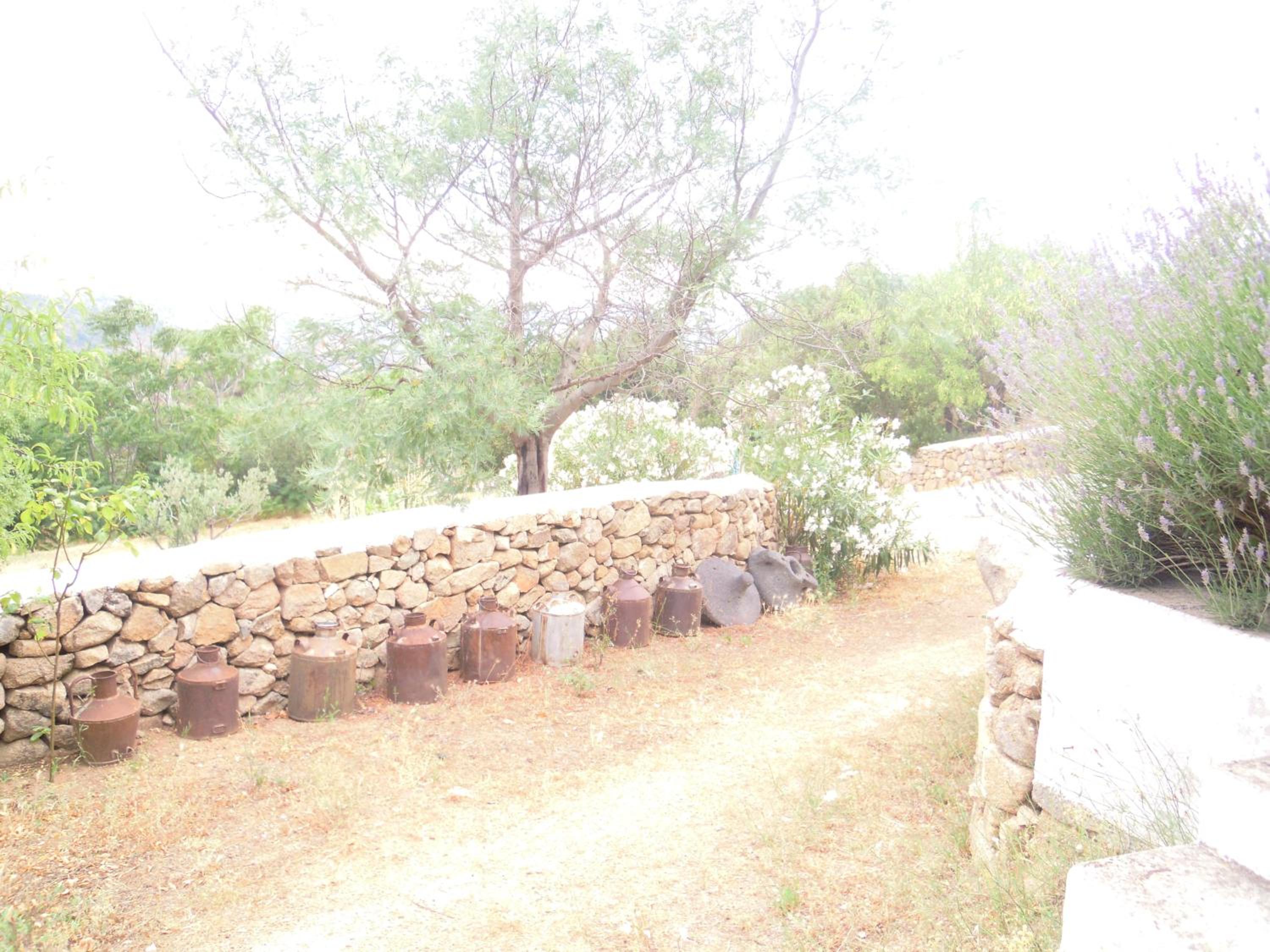 Agriturismo Camisadu, photo 10