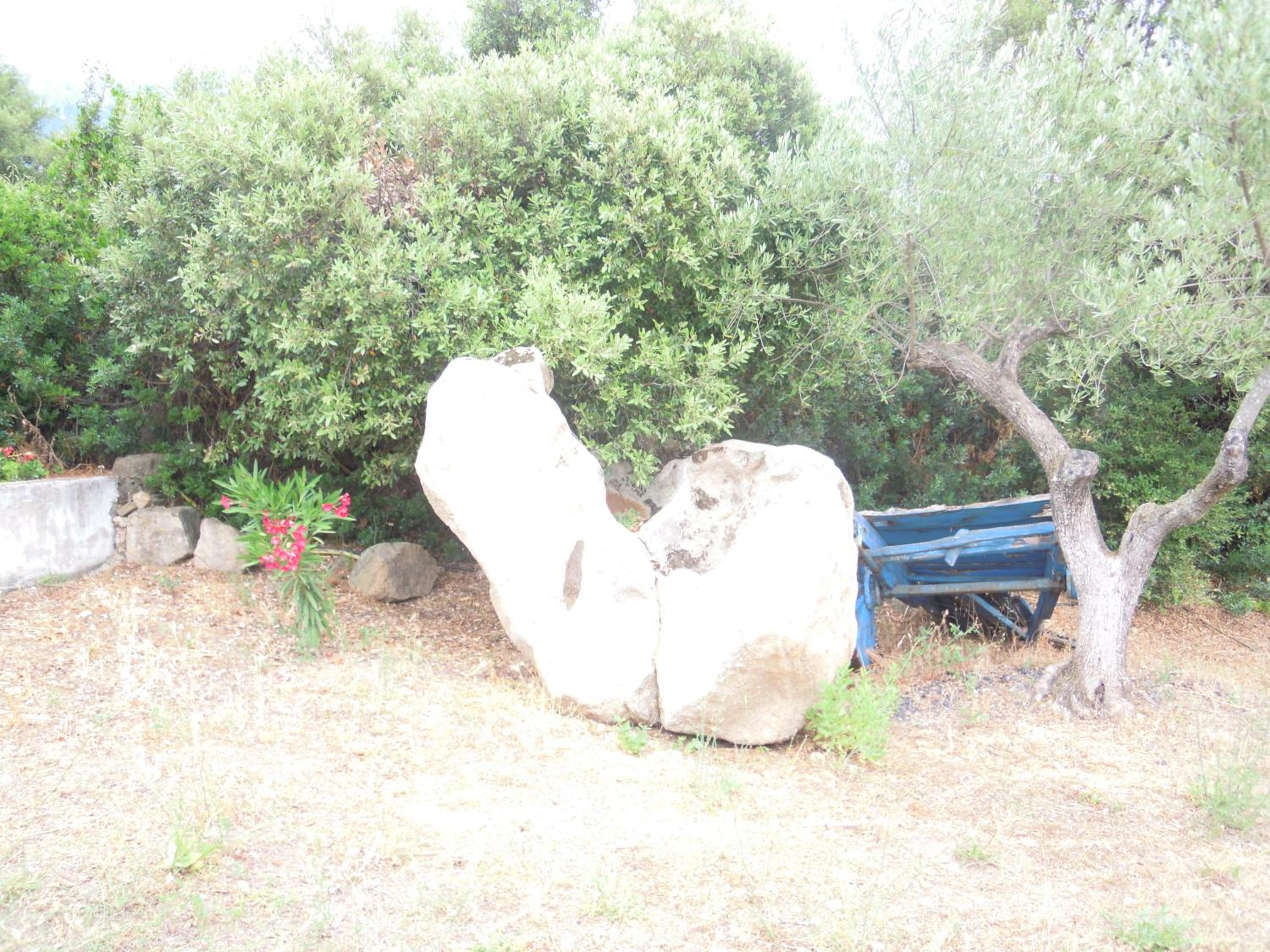 Agriturismo Camisadu, photo 37