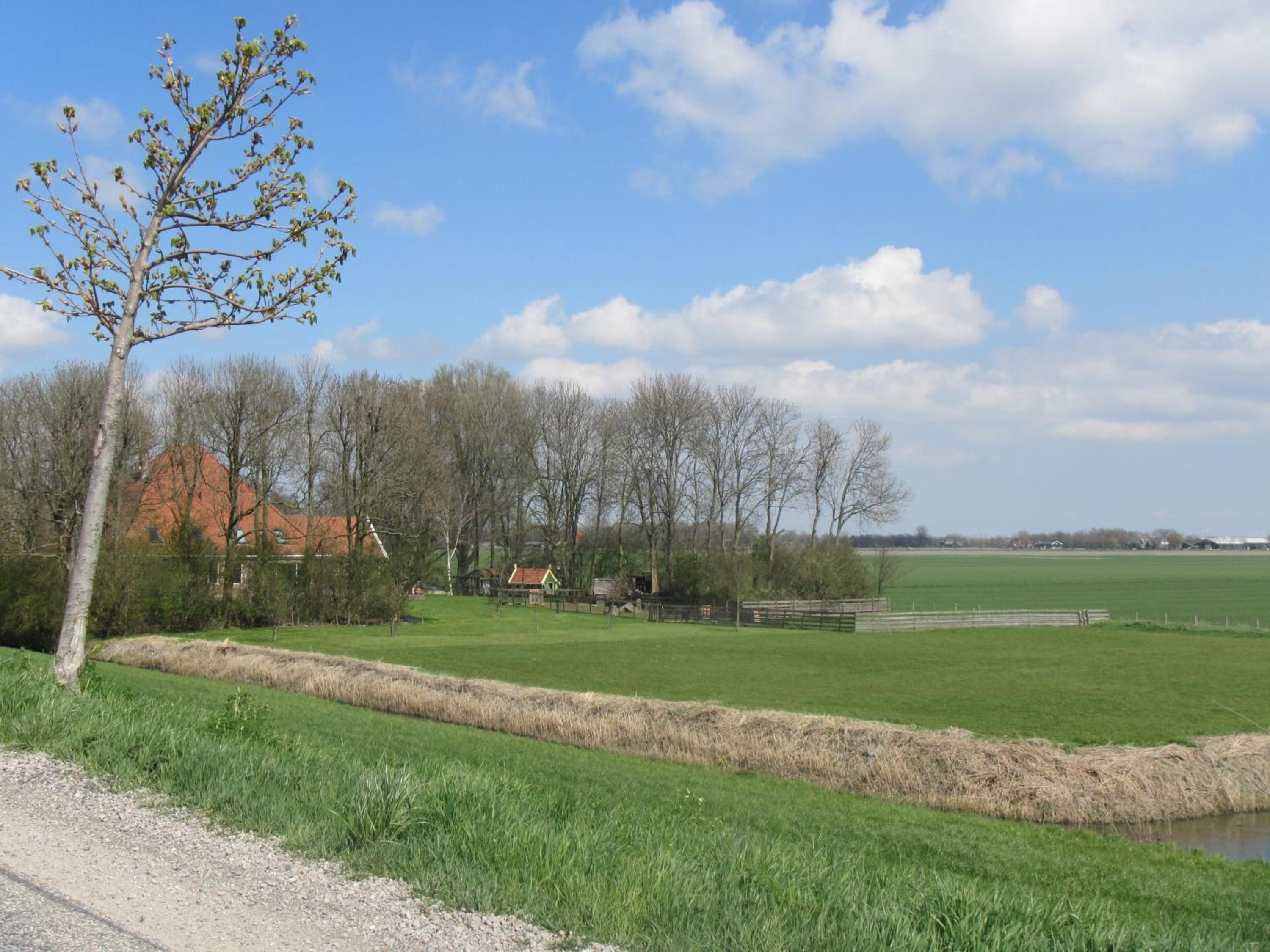 Photo 49