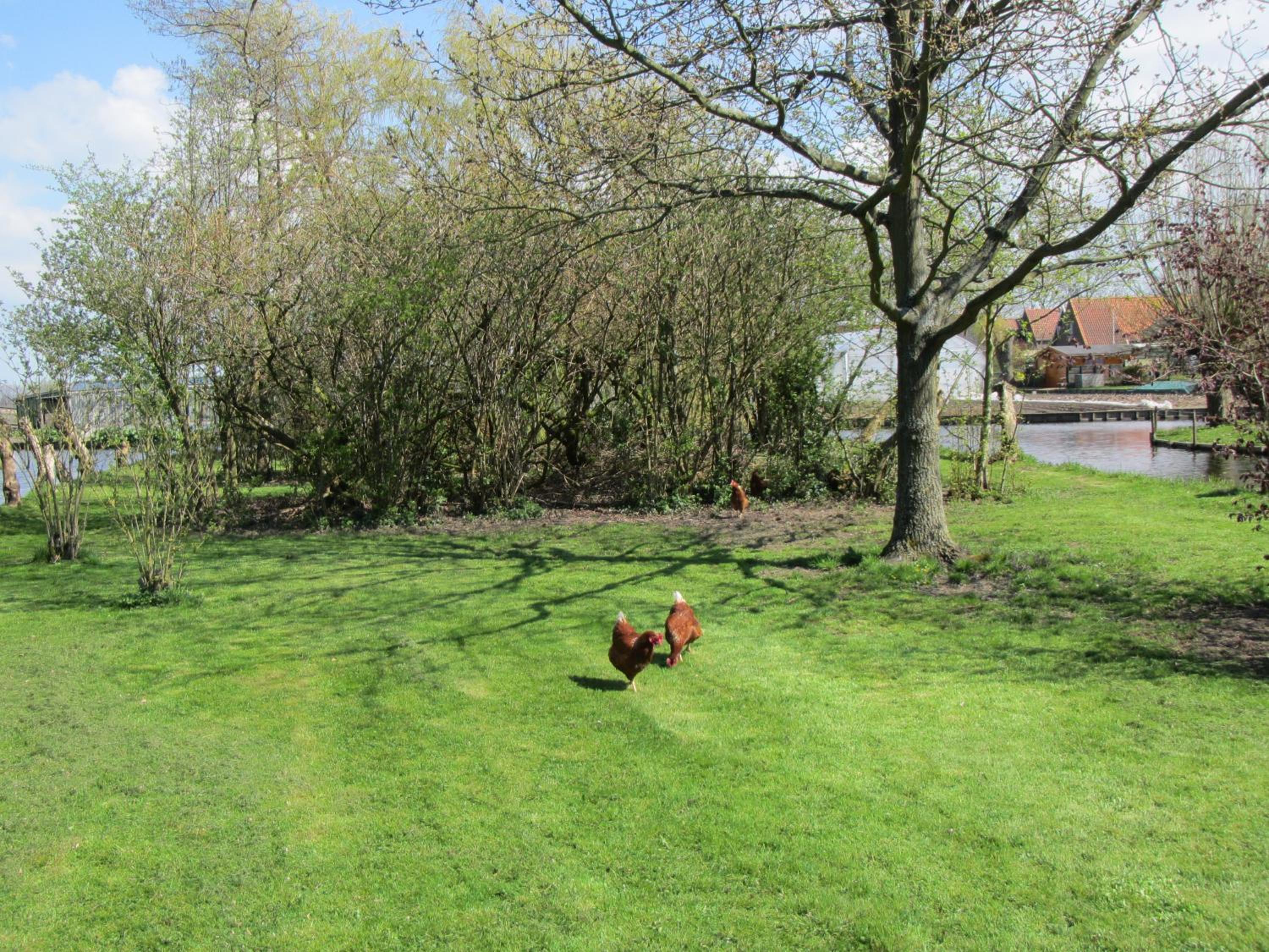 Photo 47