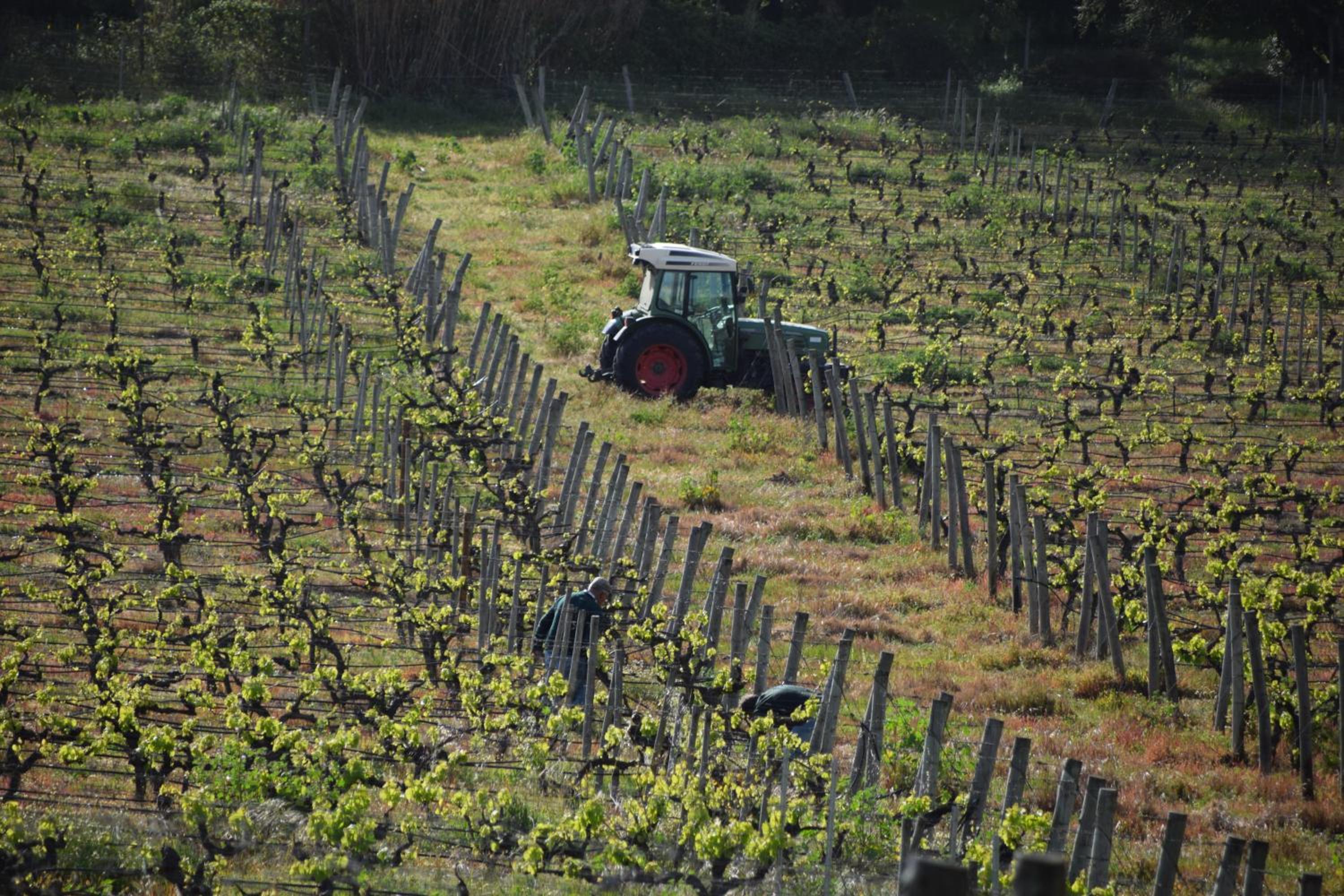 Quinta De Catralvos view 3
