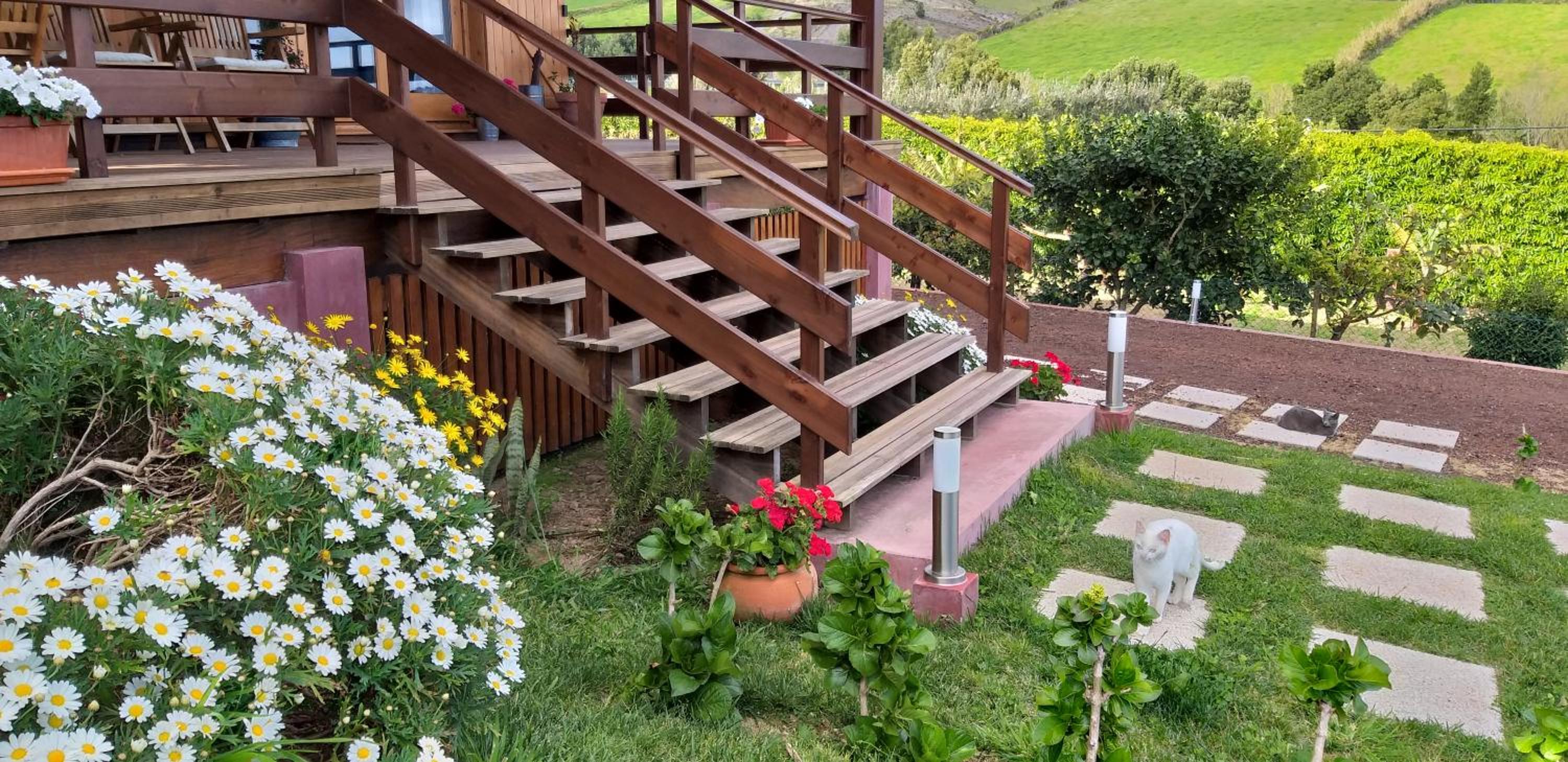 Quinta da Pavoa - Cottage House view 5