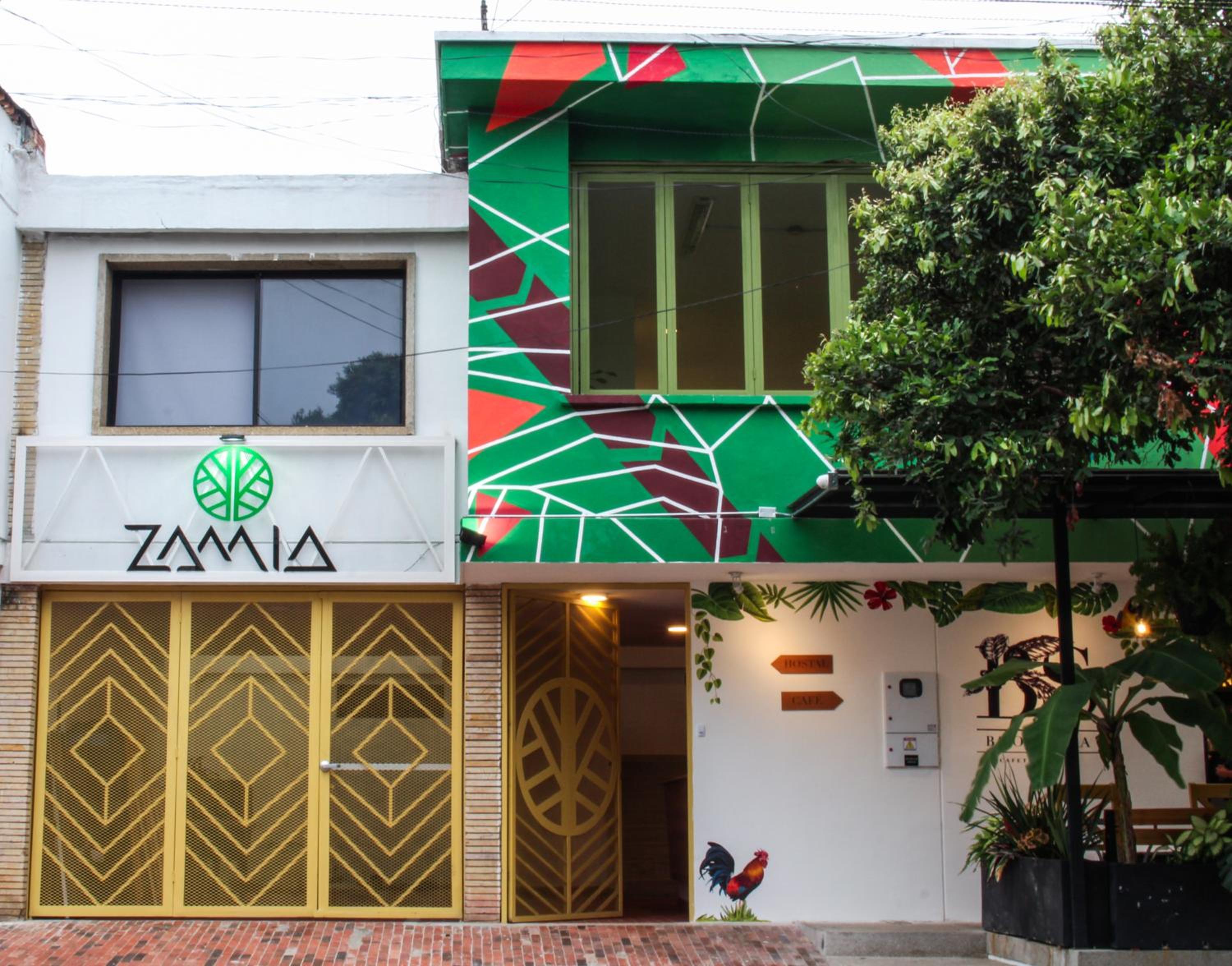 Hotel Zamia Hostel - Image 1