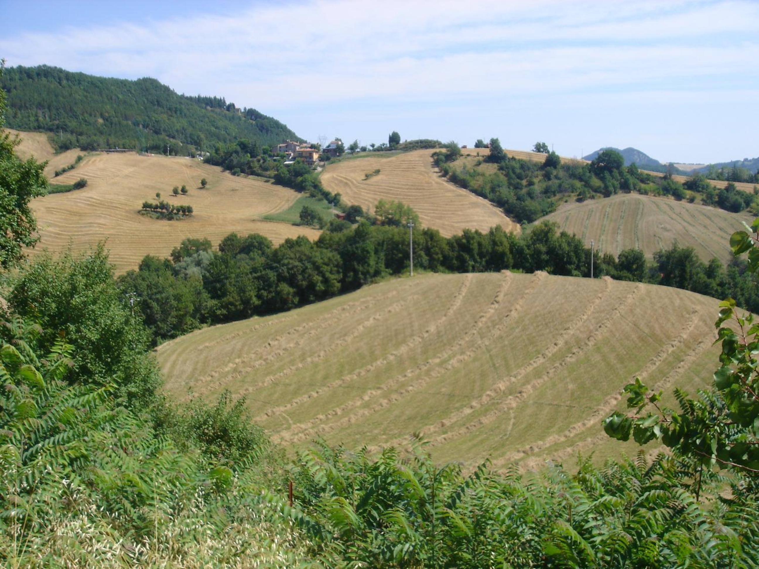Monte Bibele