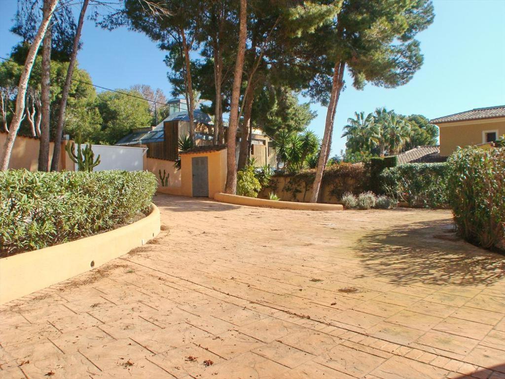 Photo 6