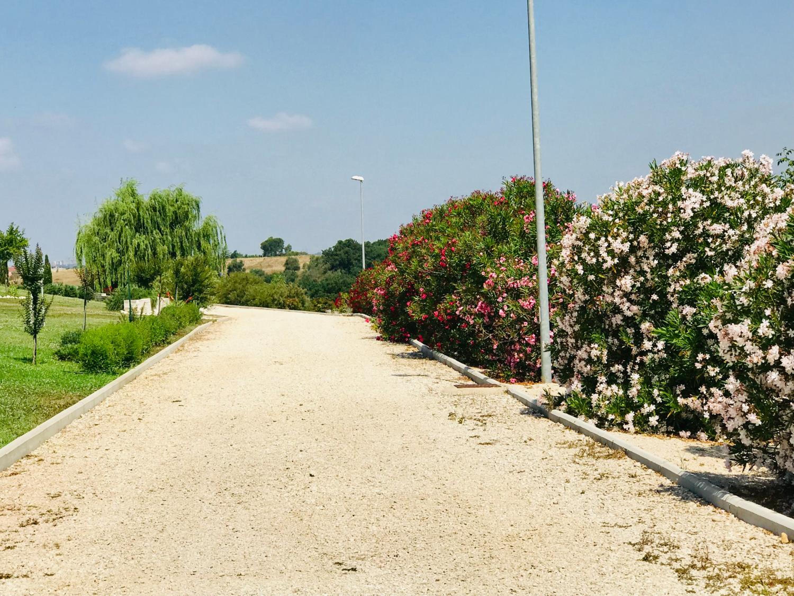 La collina delle fonti