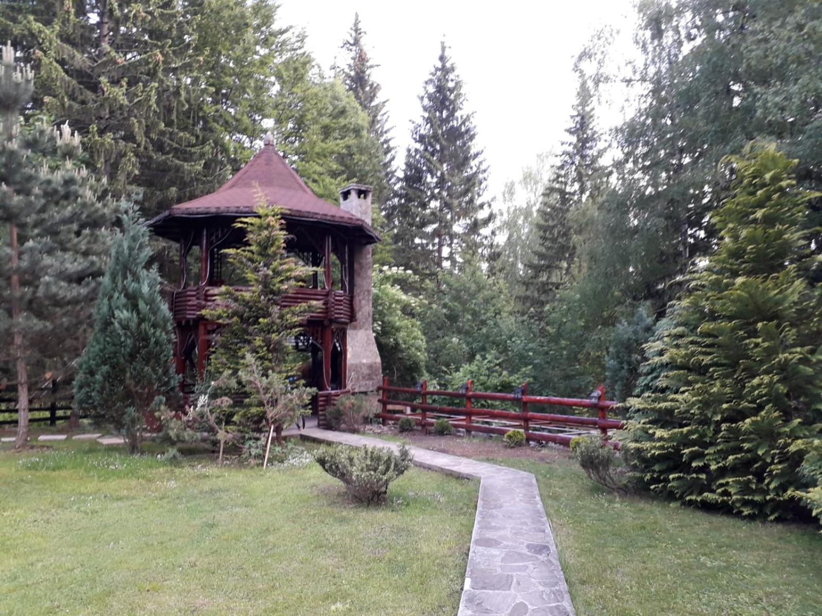 Photo 53