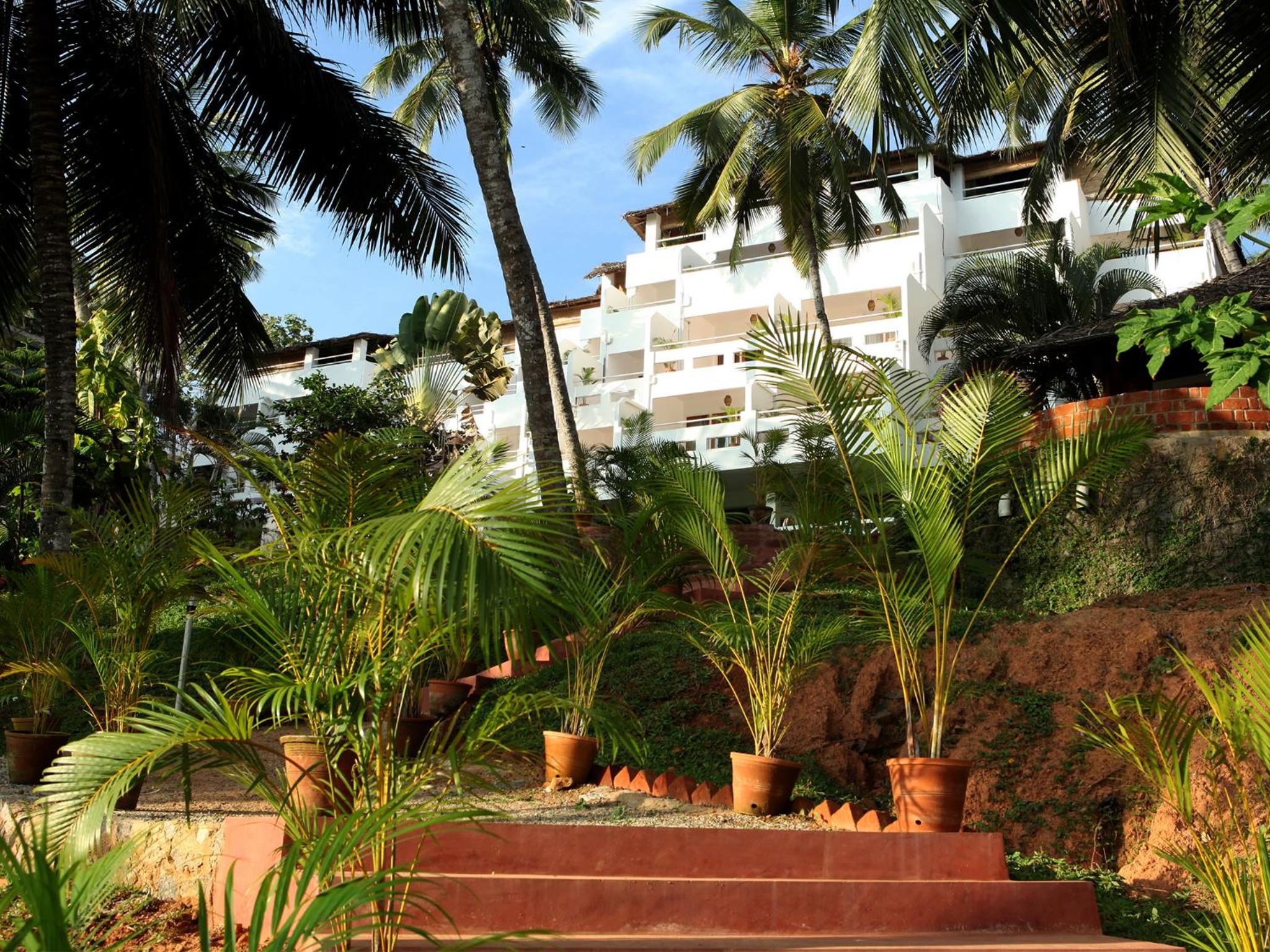 Soma Palmshore