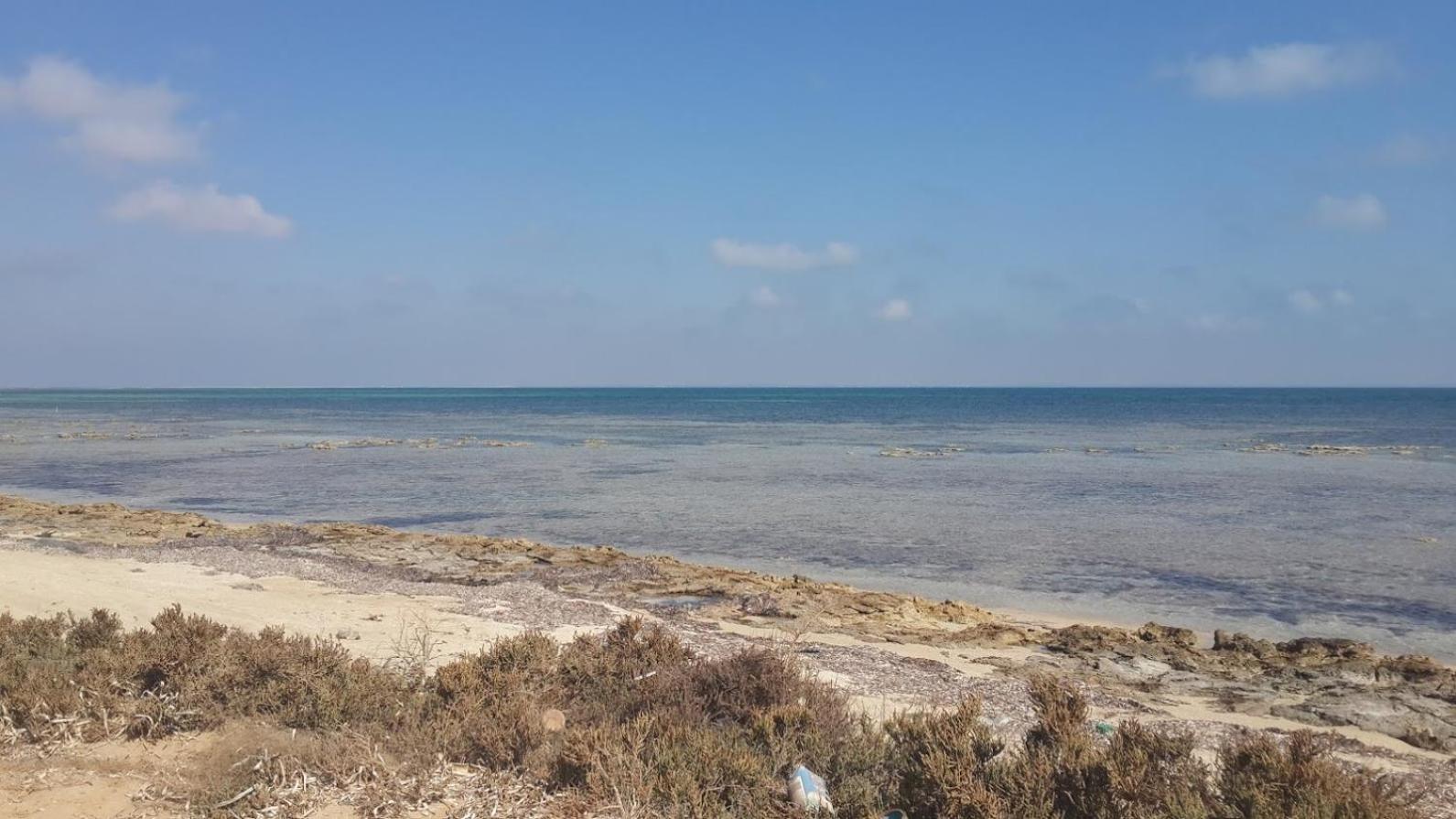 Dar Mamina