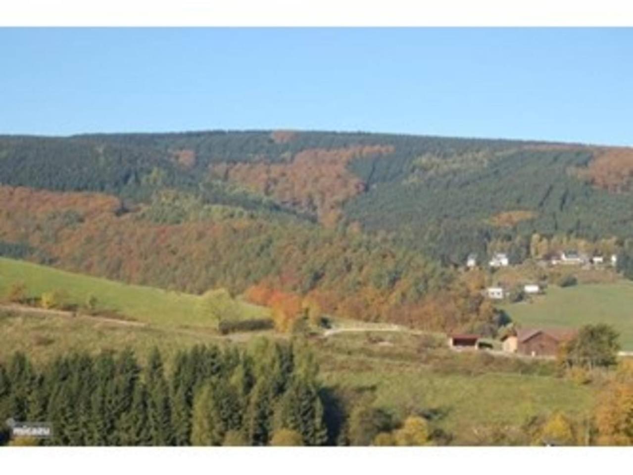 Haus Bergzicht view 4