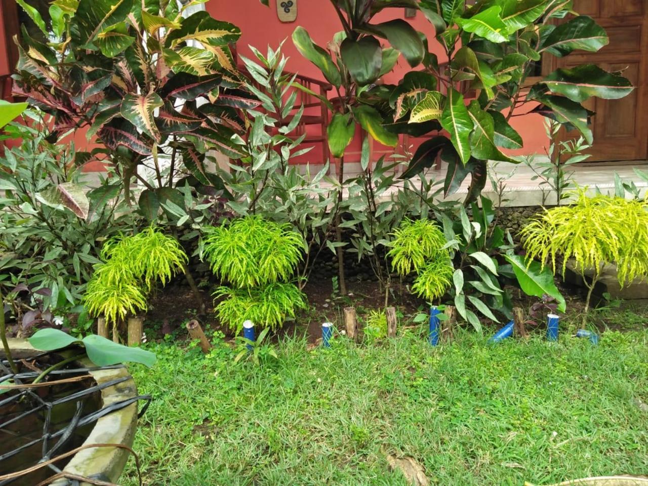 Made Roejas Homestay, Uluwatu - 17