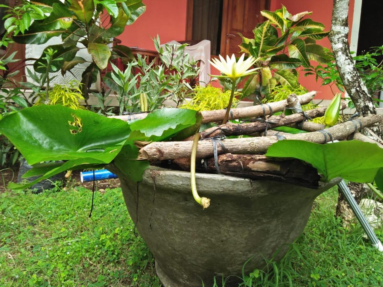 Made Roejas Homestay, Uluwatu - 15