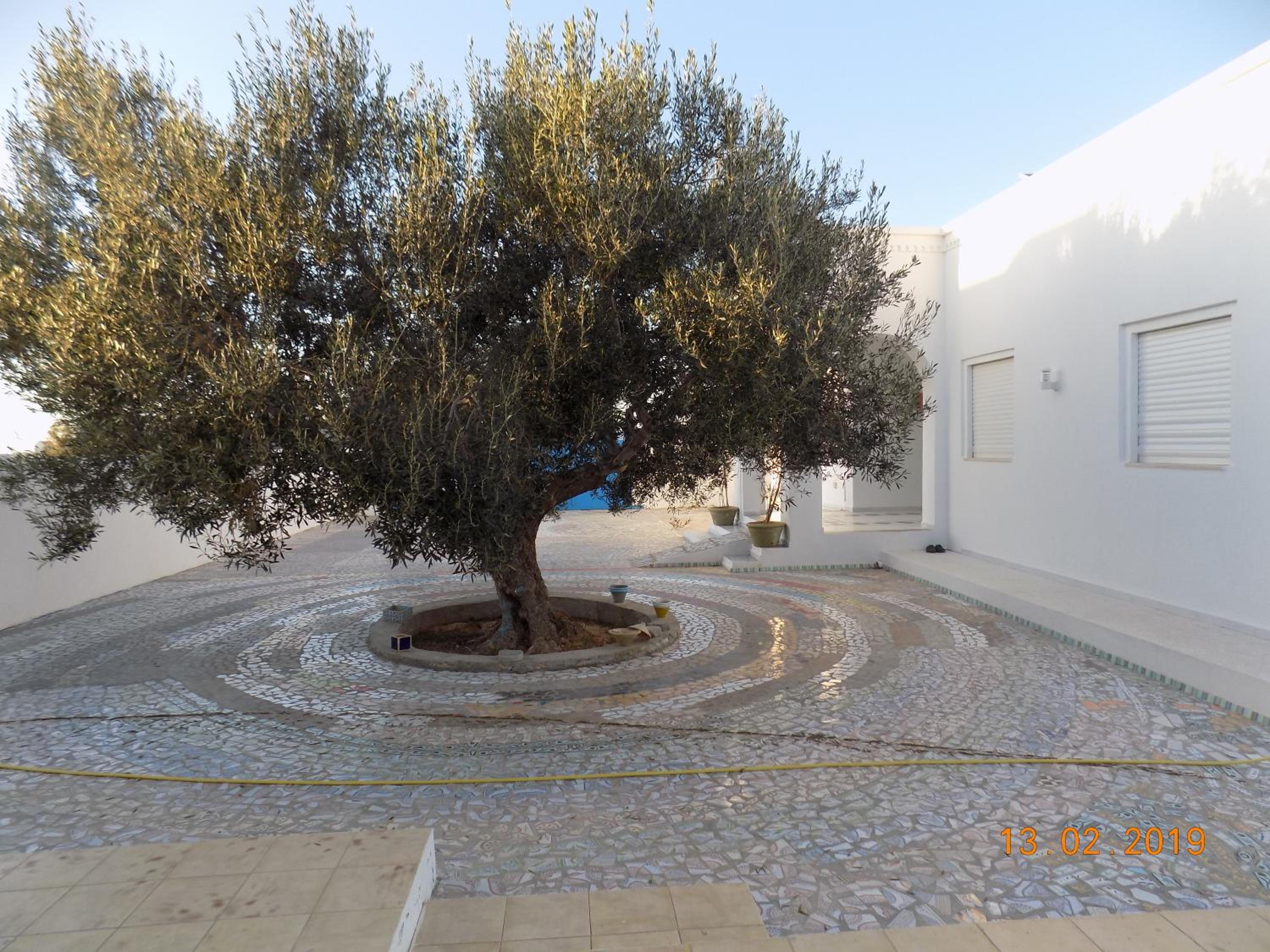 Dar Mamina