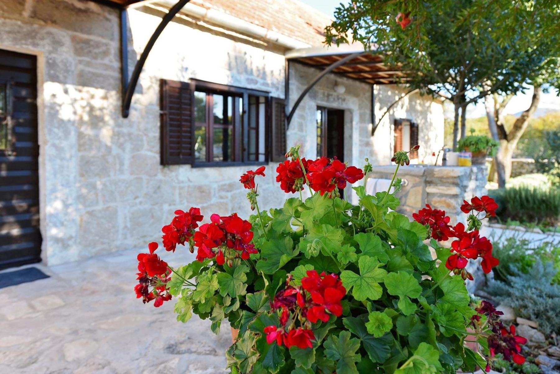 Villa Krasa ZadarVillas