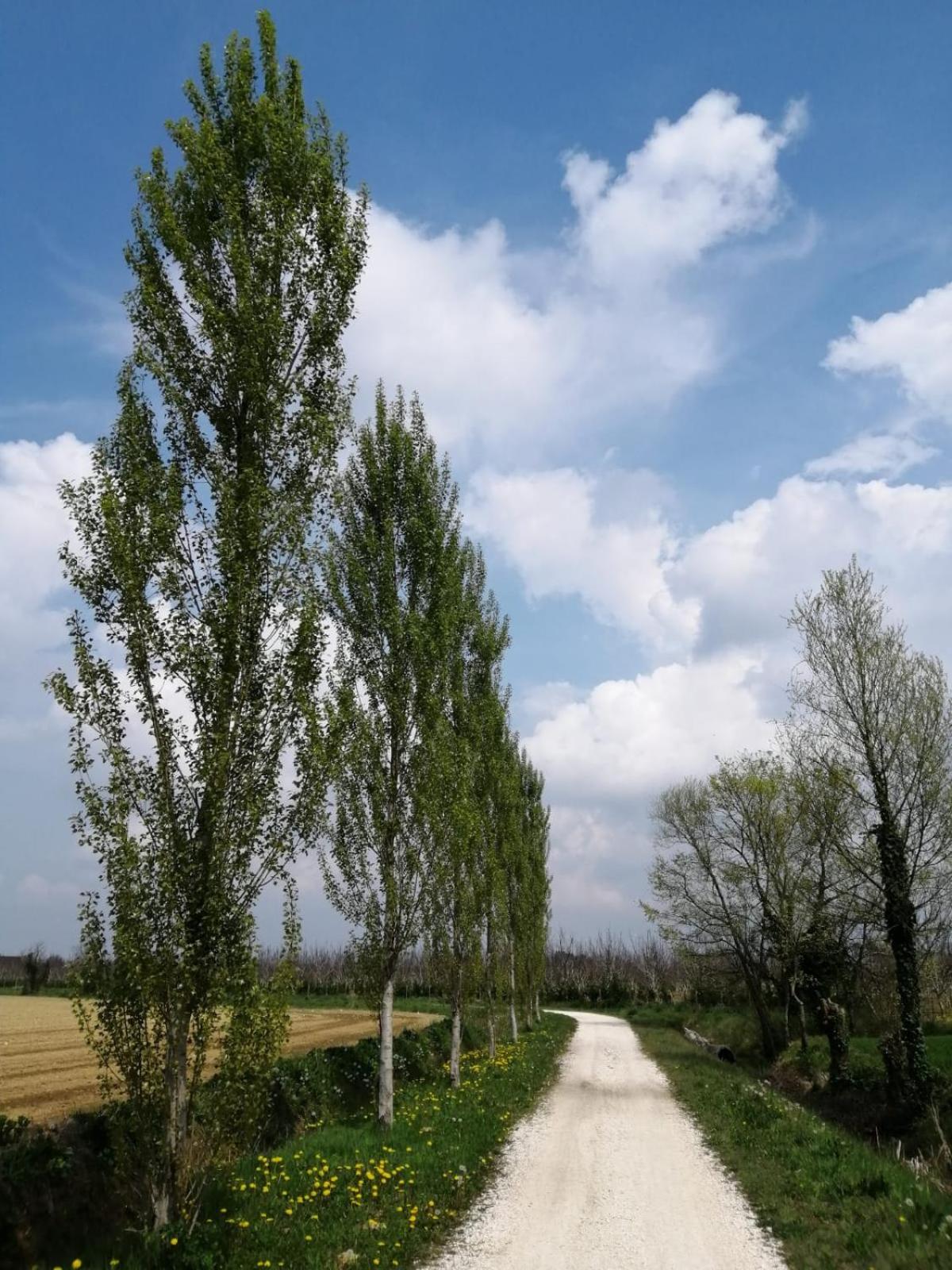 Agriturismo Colombera
