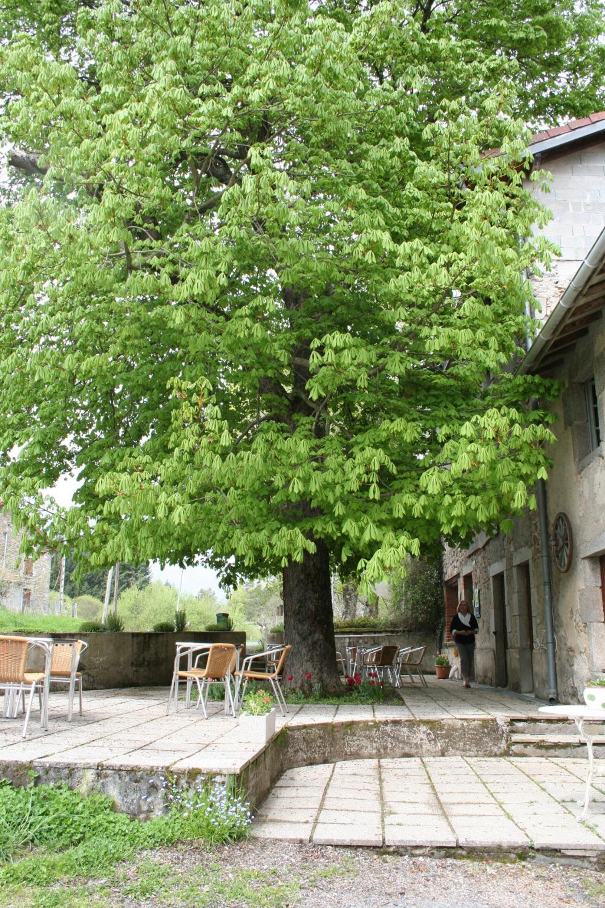 Photo 27