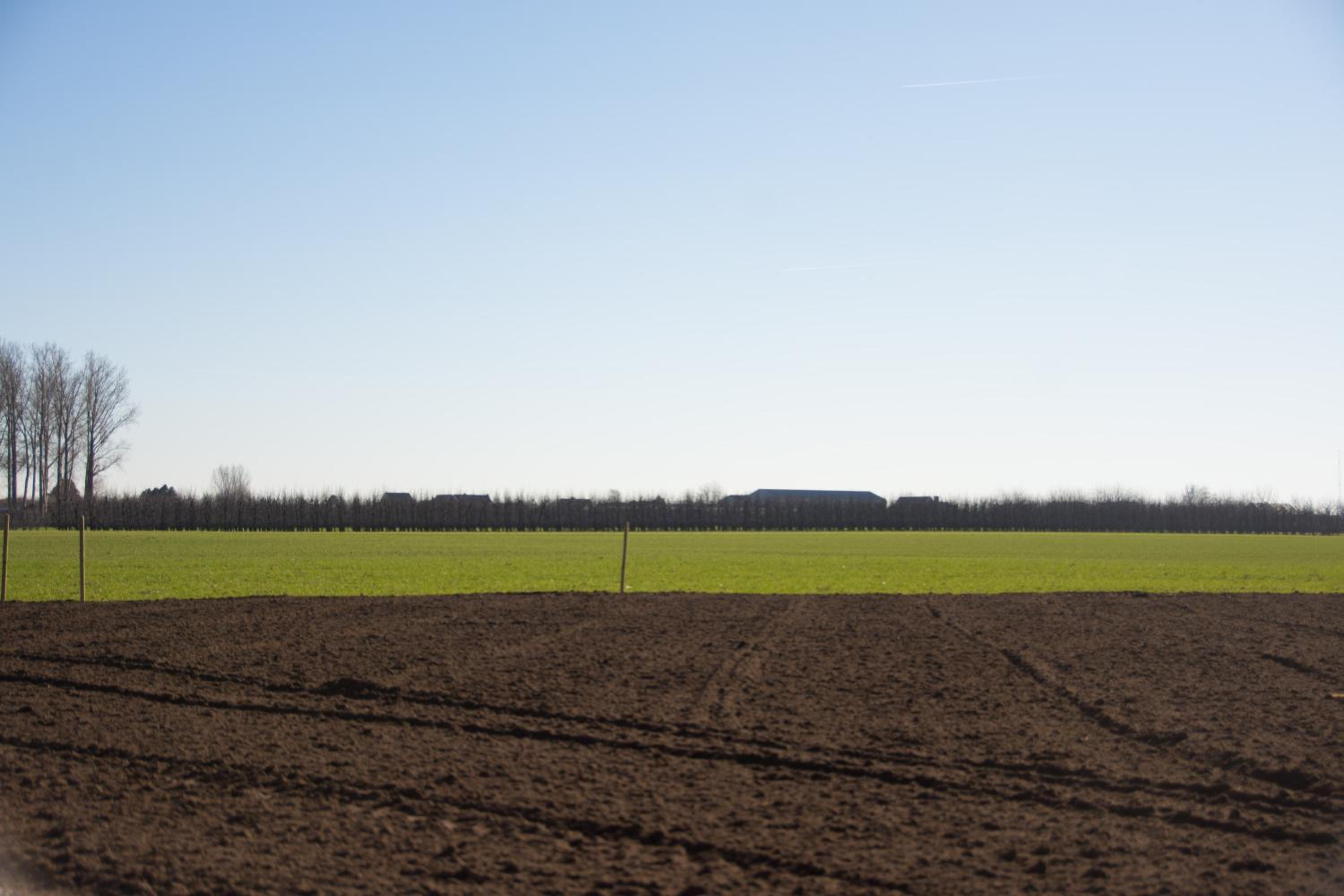 'Op de Borgt' met Finse Grill Kota