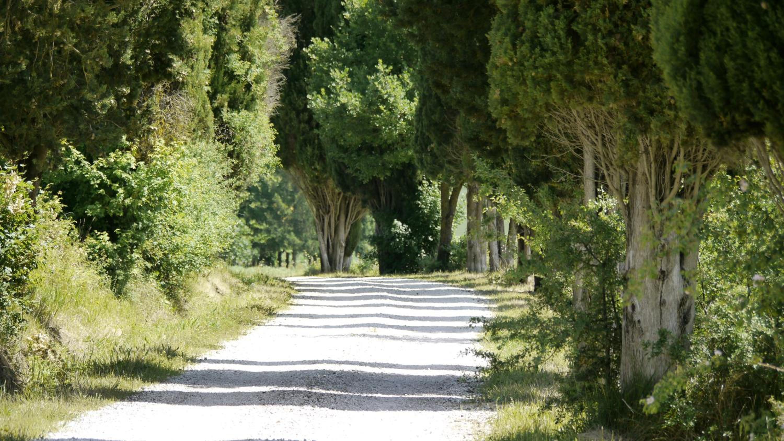 Agriturismo Germogli I Tenuta di Fassia view 4