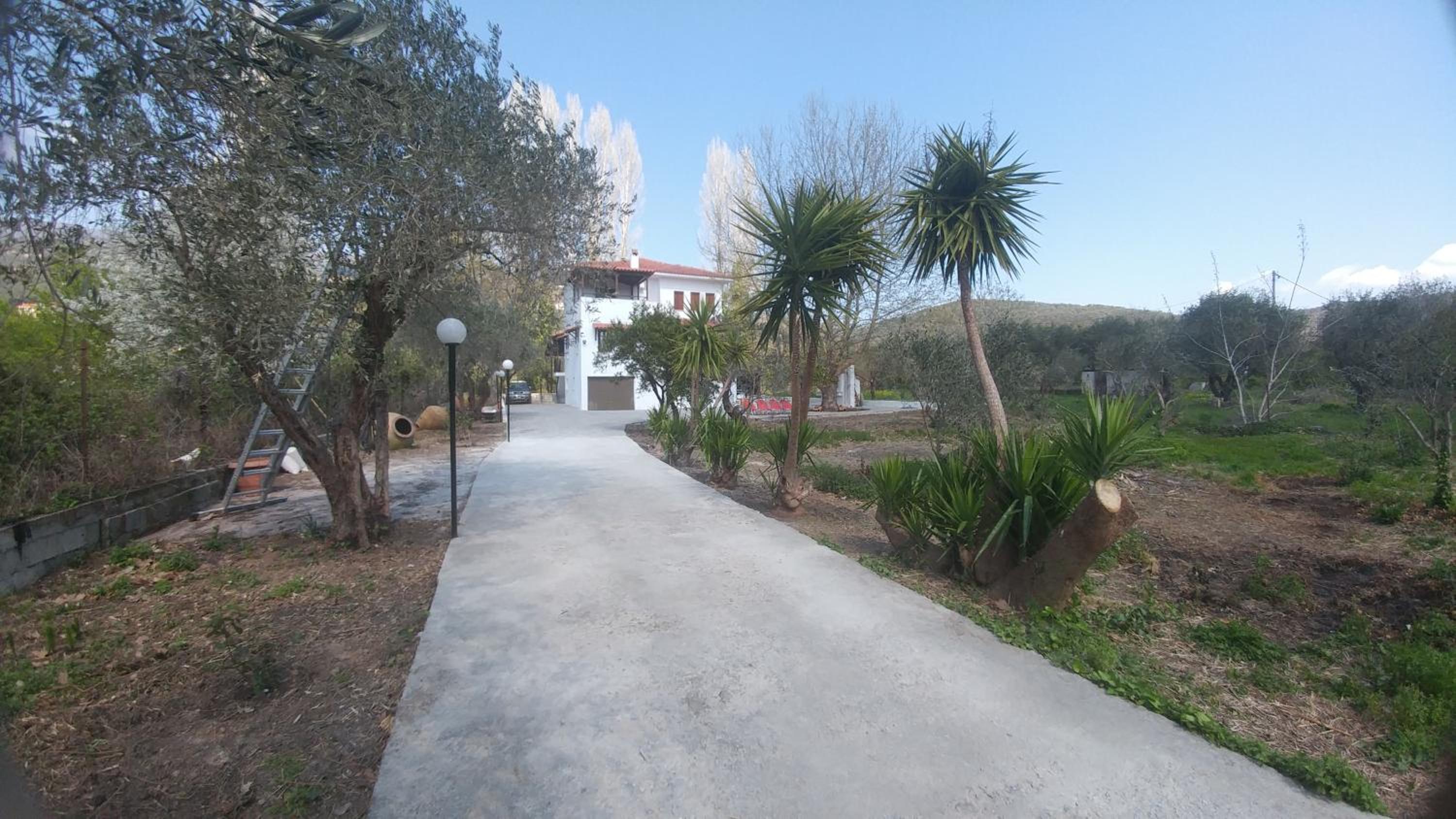Photo 27