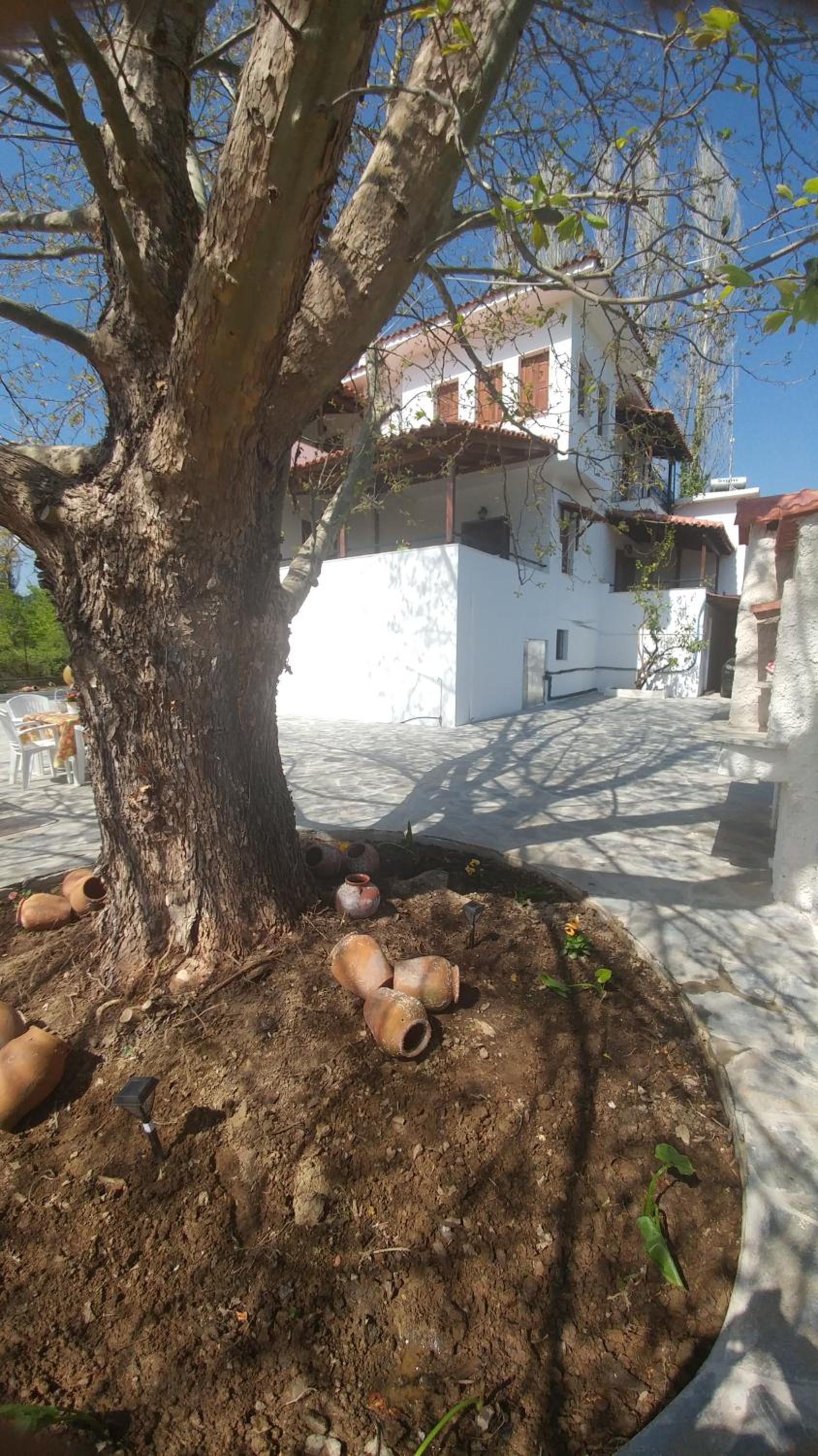 Photo 28