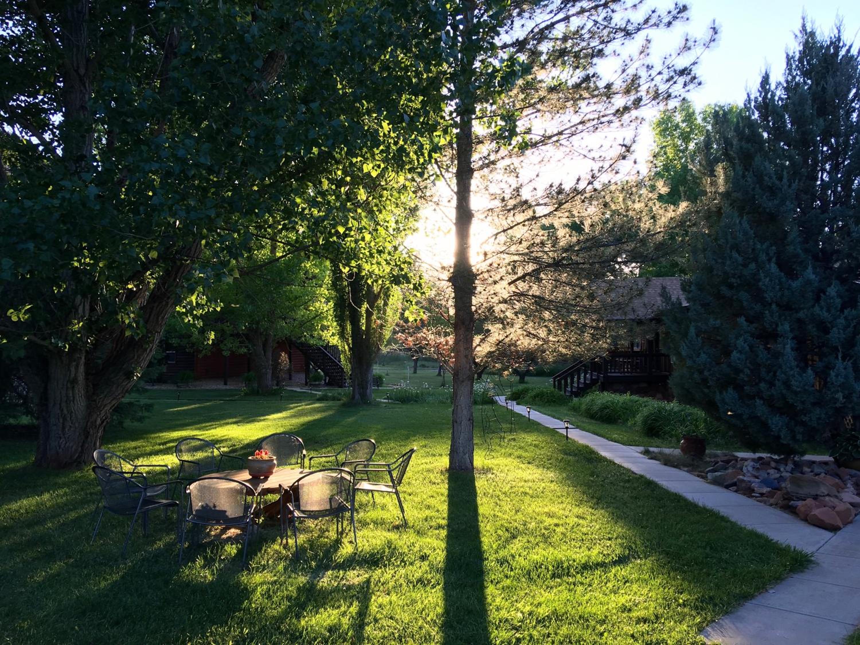 Photo 6