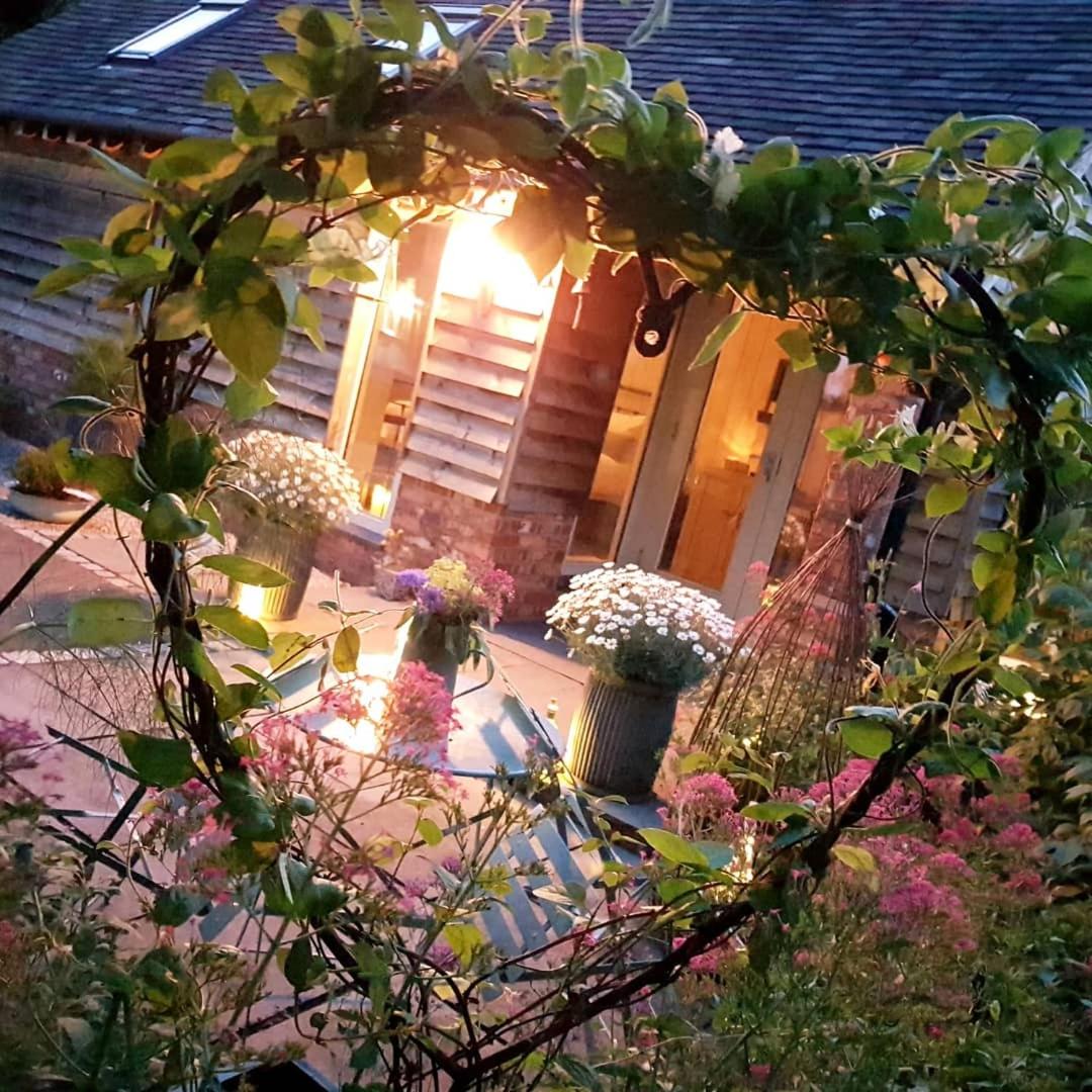 The Dorm Bed and Breakfast