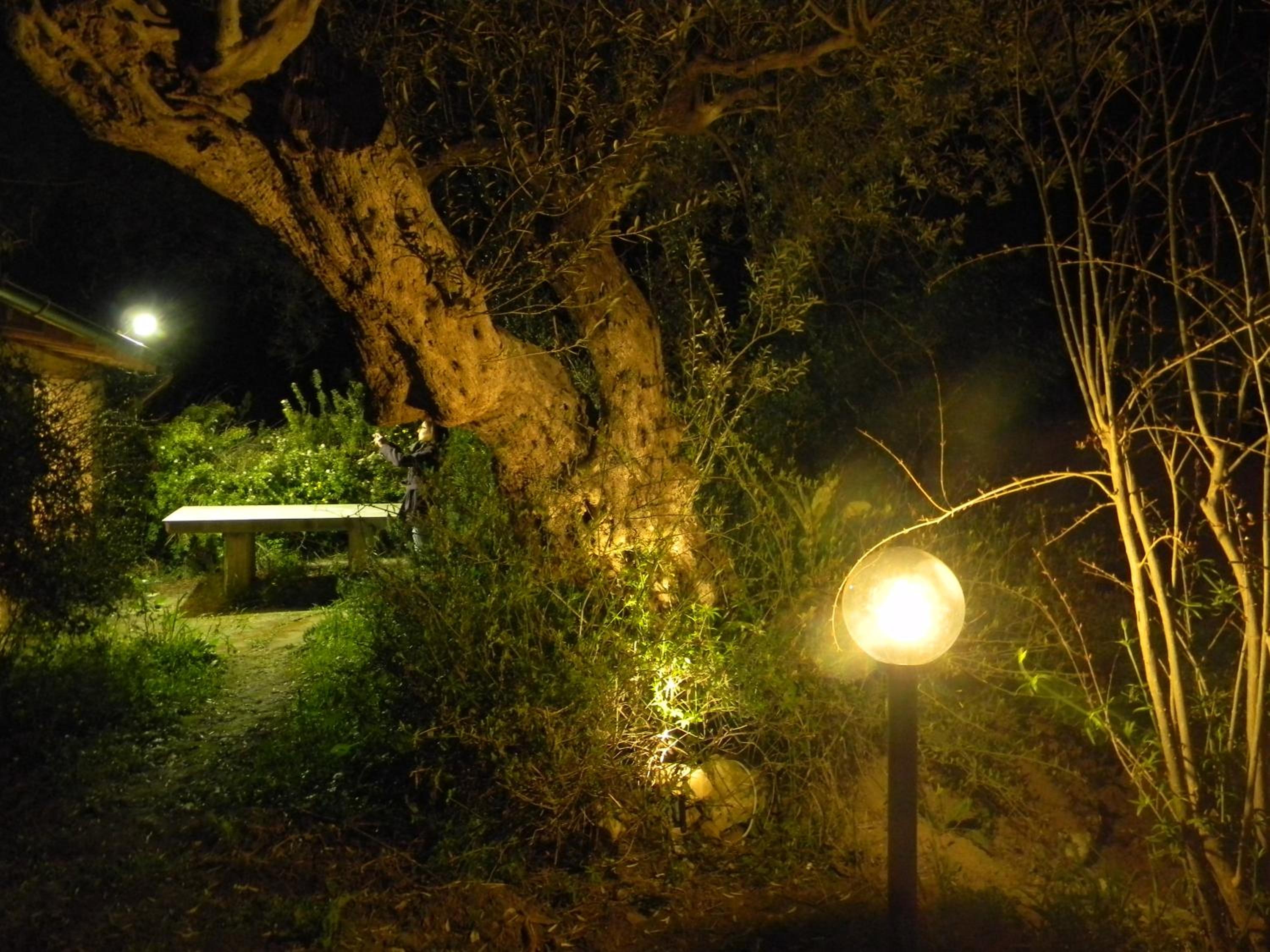 Casa Nunziata view 3