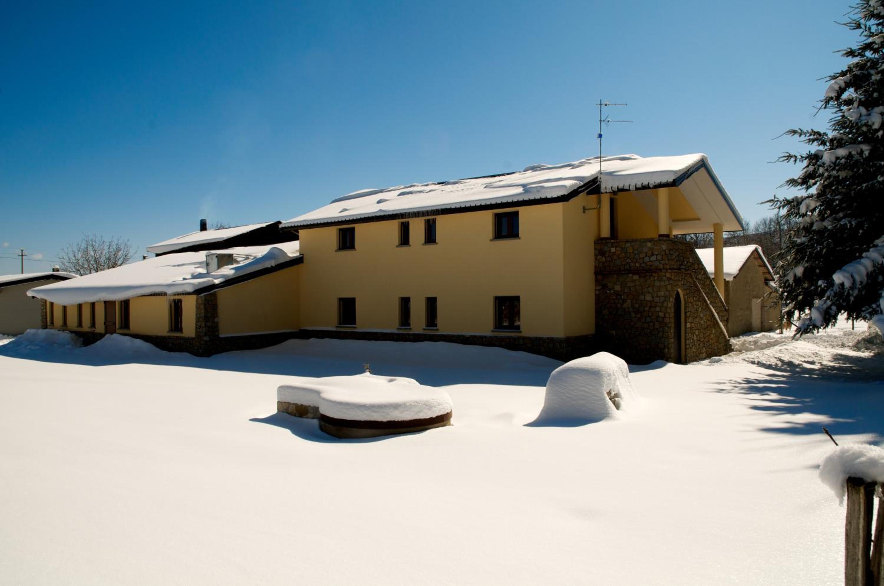 Photo 41
