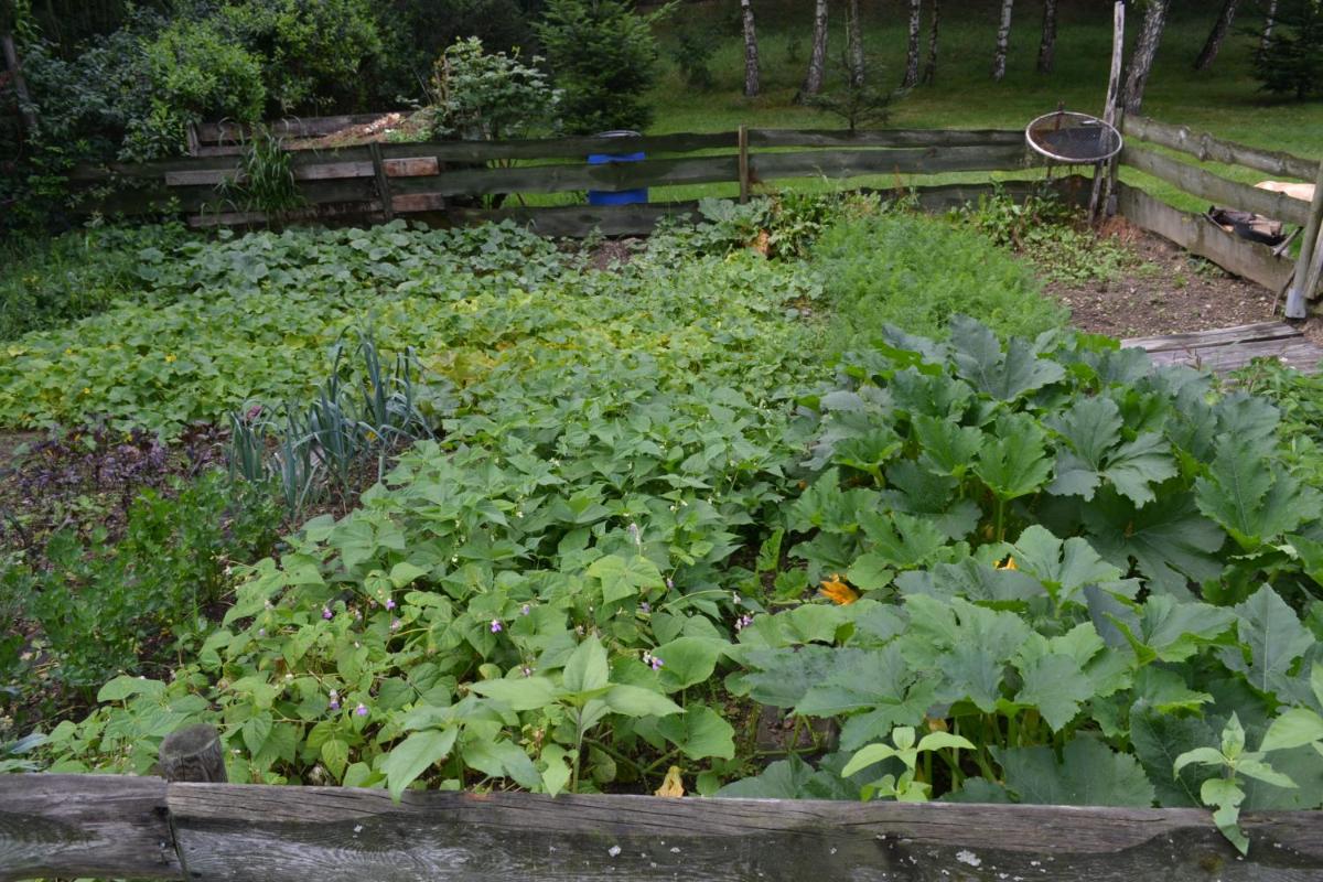Photo 22