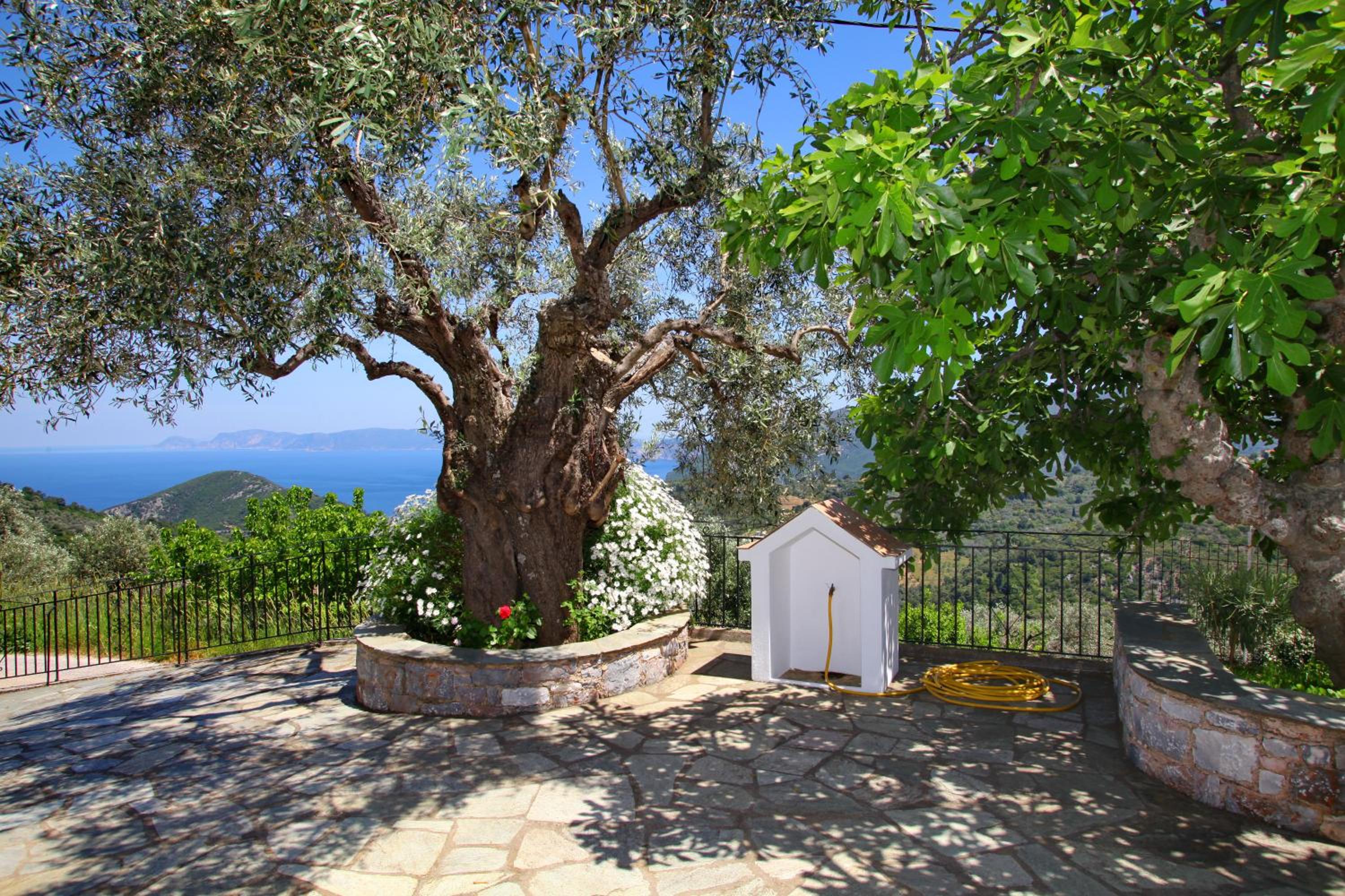 Anania Cottage photo 2