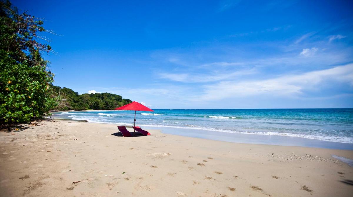 Casa Cerise Beachfront
