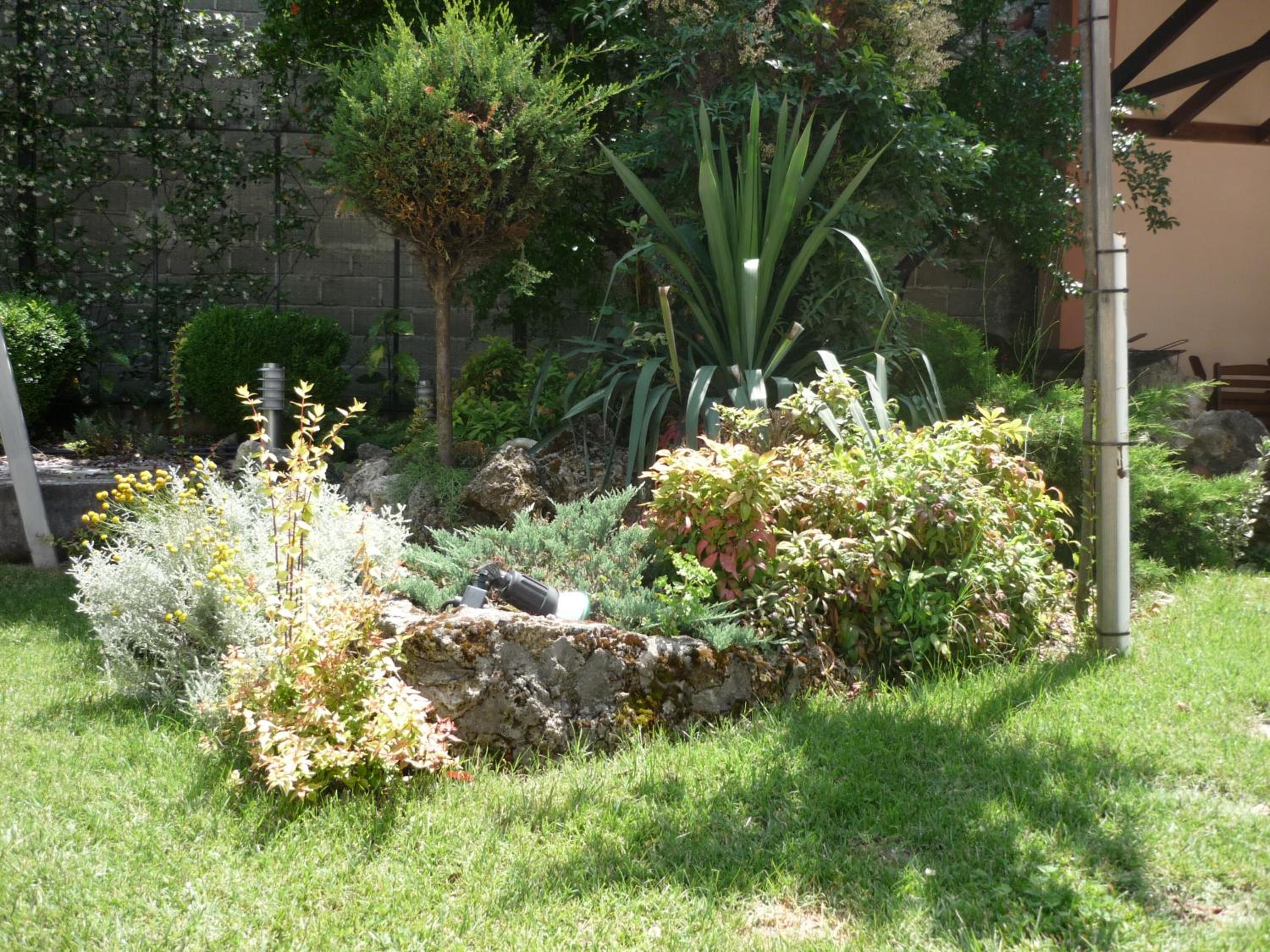 Photo 8